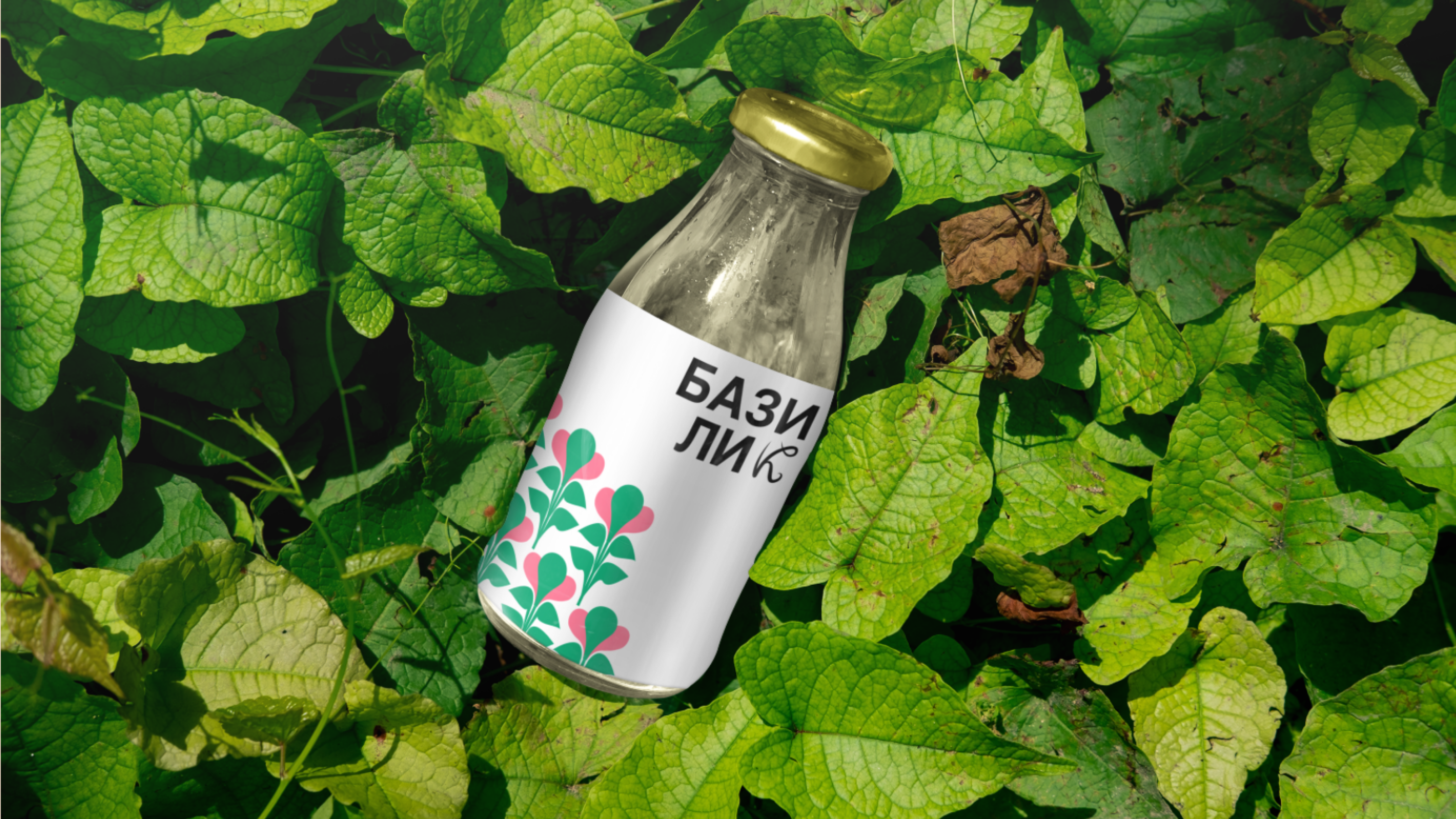 Базилик | Мобильное приложение по доставке продуктов — Изображение №10 — Интерфейсы, Анимация на Dprofile