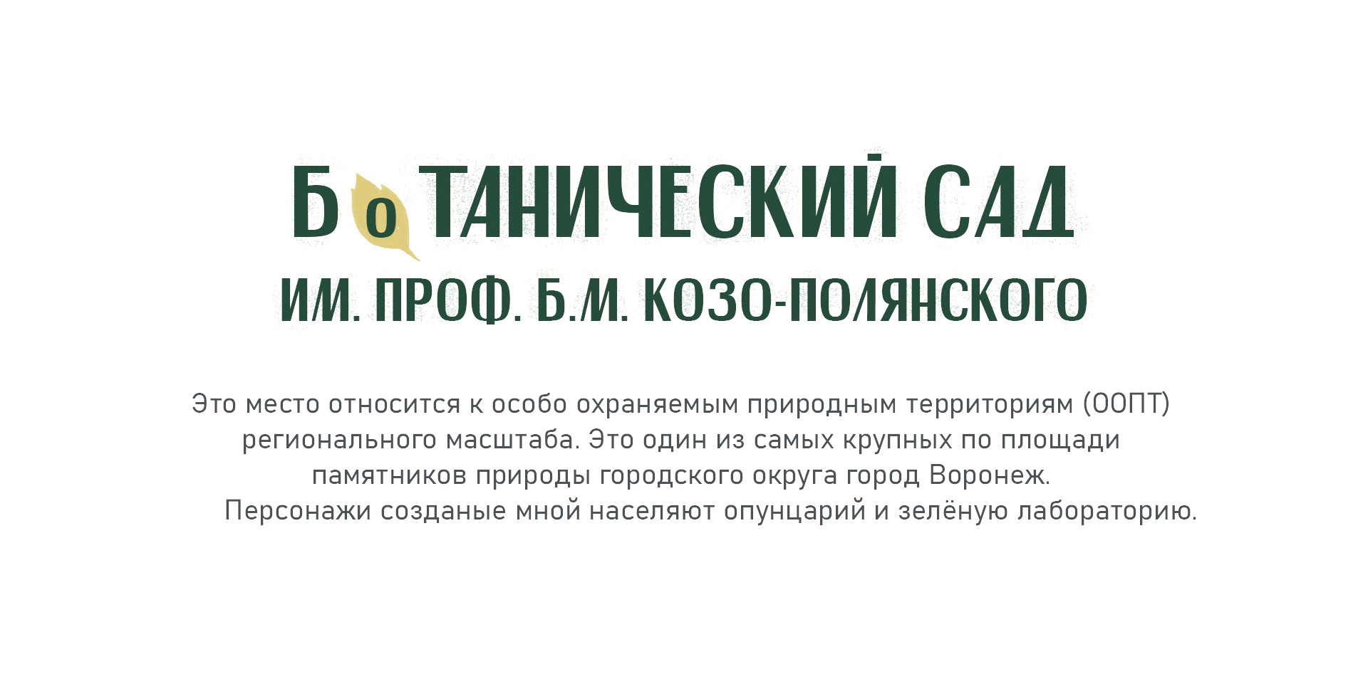 Бренд персонажи для Ботанического сада — Изображение №2 — Брендинг, Иллюстрация на Dprofile