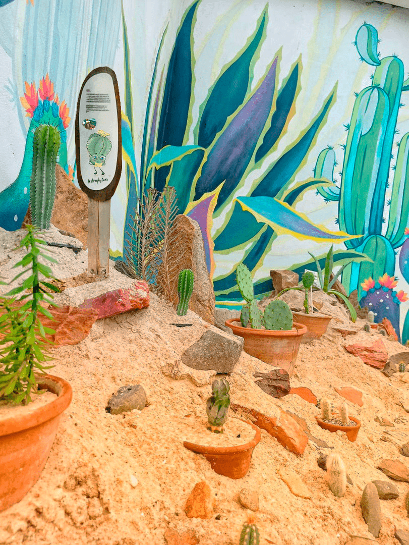 Бренд персонажи для Ботанического сада — Изображение №7 — Брендинг, Иллюстрация на Dprofile