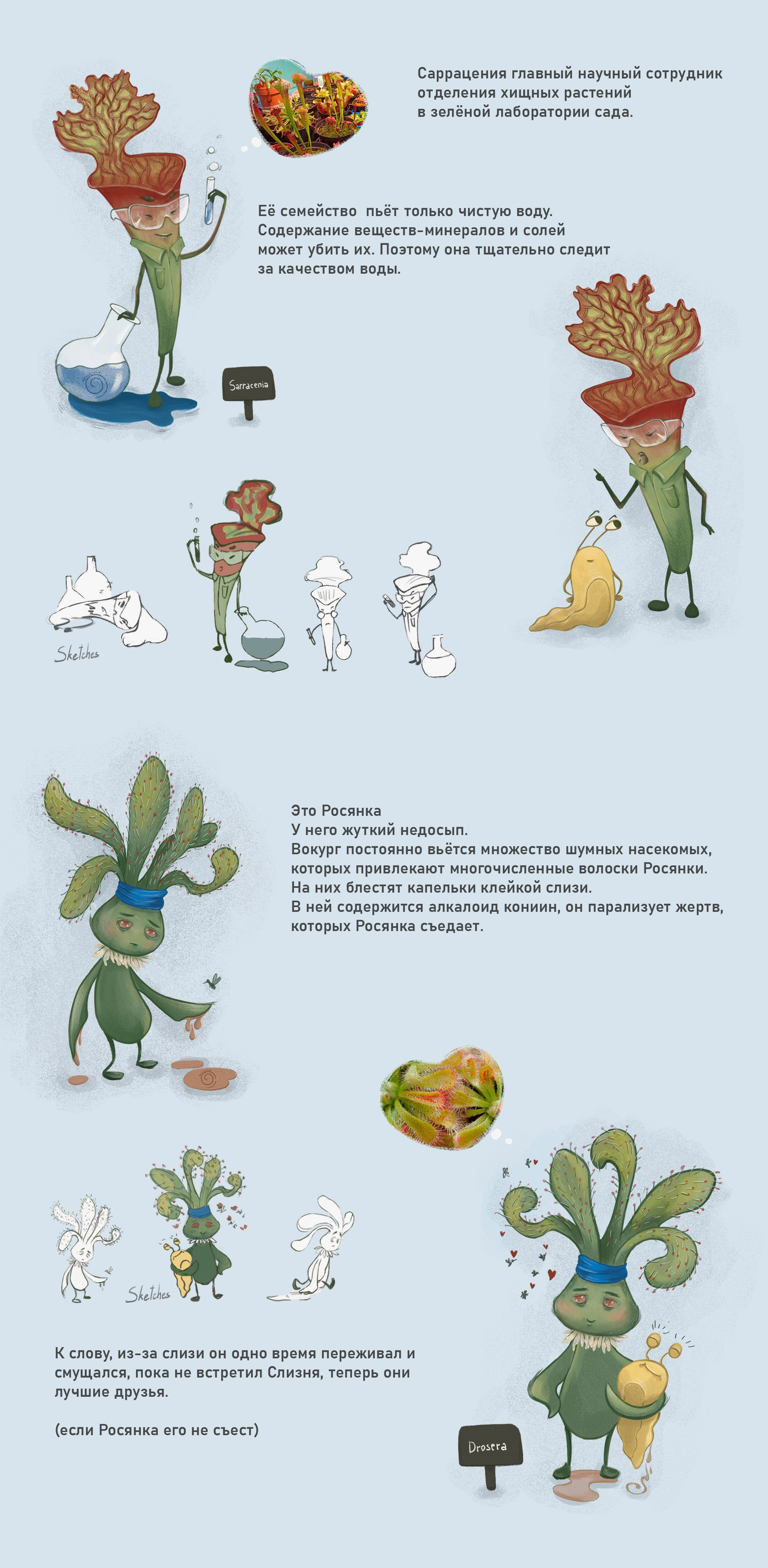 Бренд персонажи для Ботанического сада — Изображение №4 — Брендинг, Иллюстрация на Dprofile