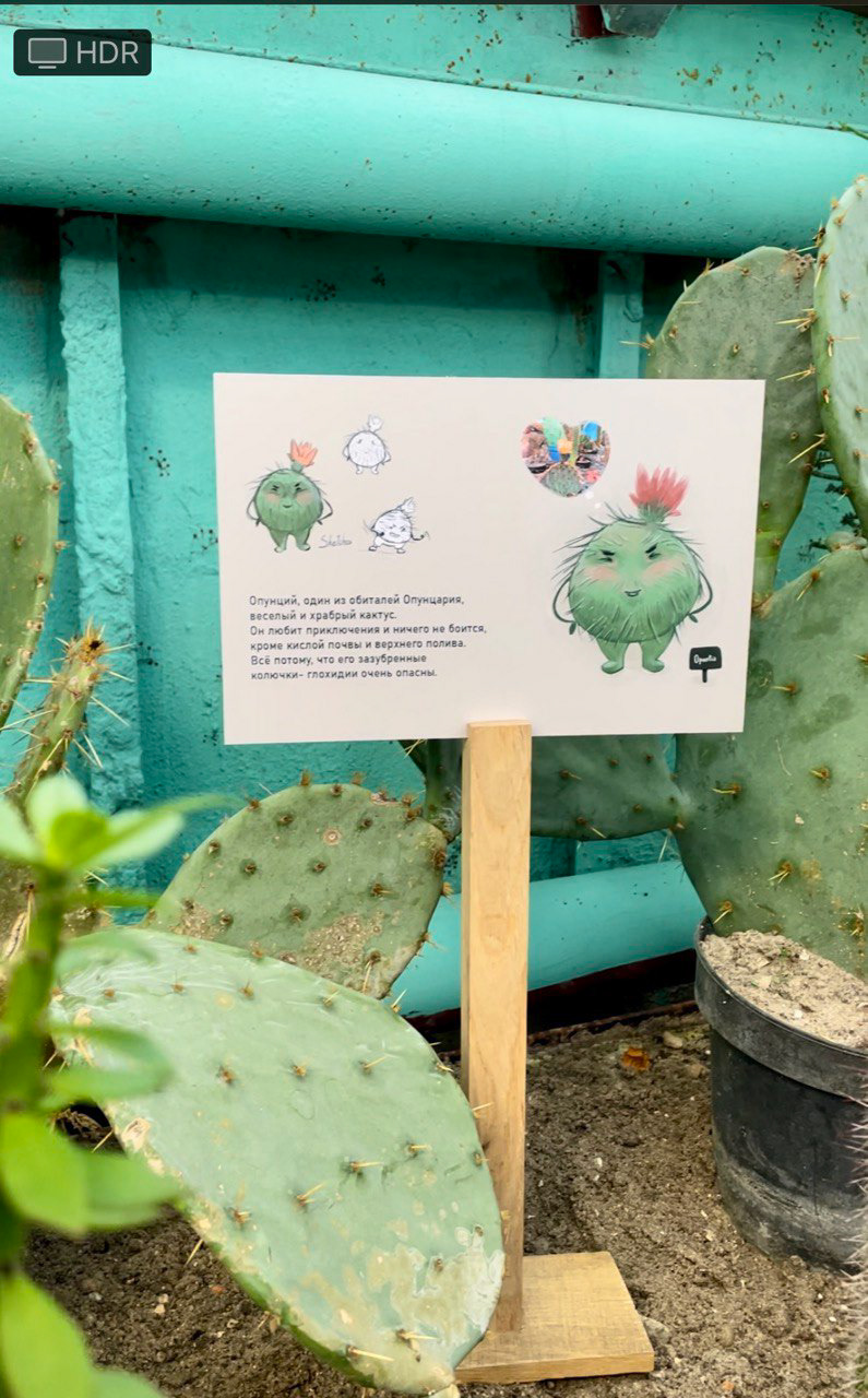 Бренд персонажи для Ботанического сада — Изображение №9 — Брендинг, Иллюстрация на Dprofile