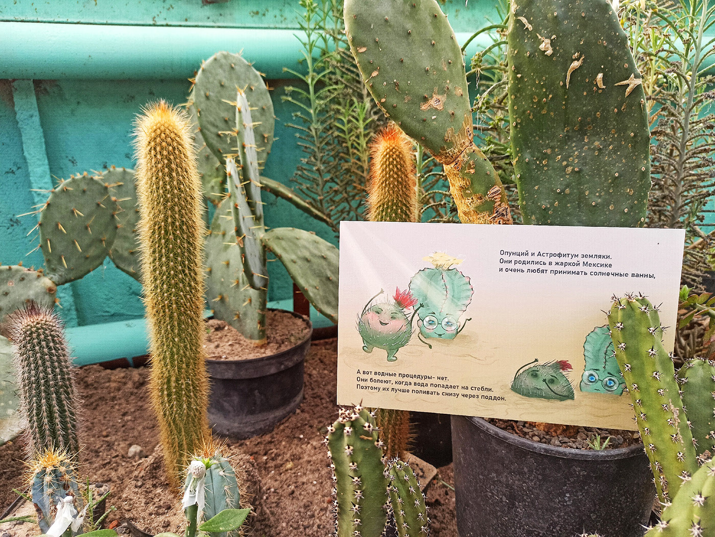 Бренд персонажи для Ботанического сада — Изображение №12 — Брендинг, Иллюстрация на Dprofile