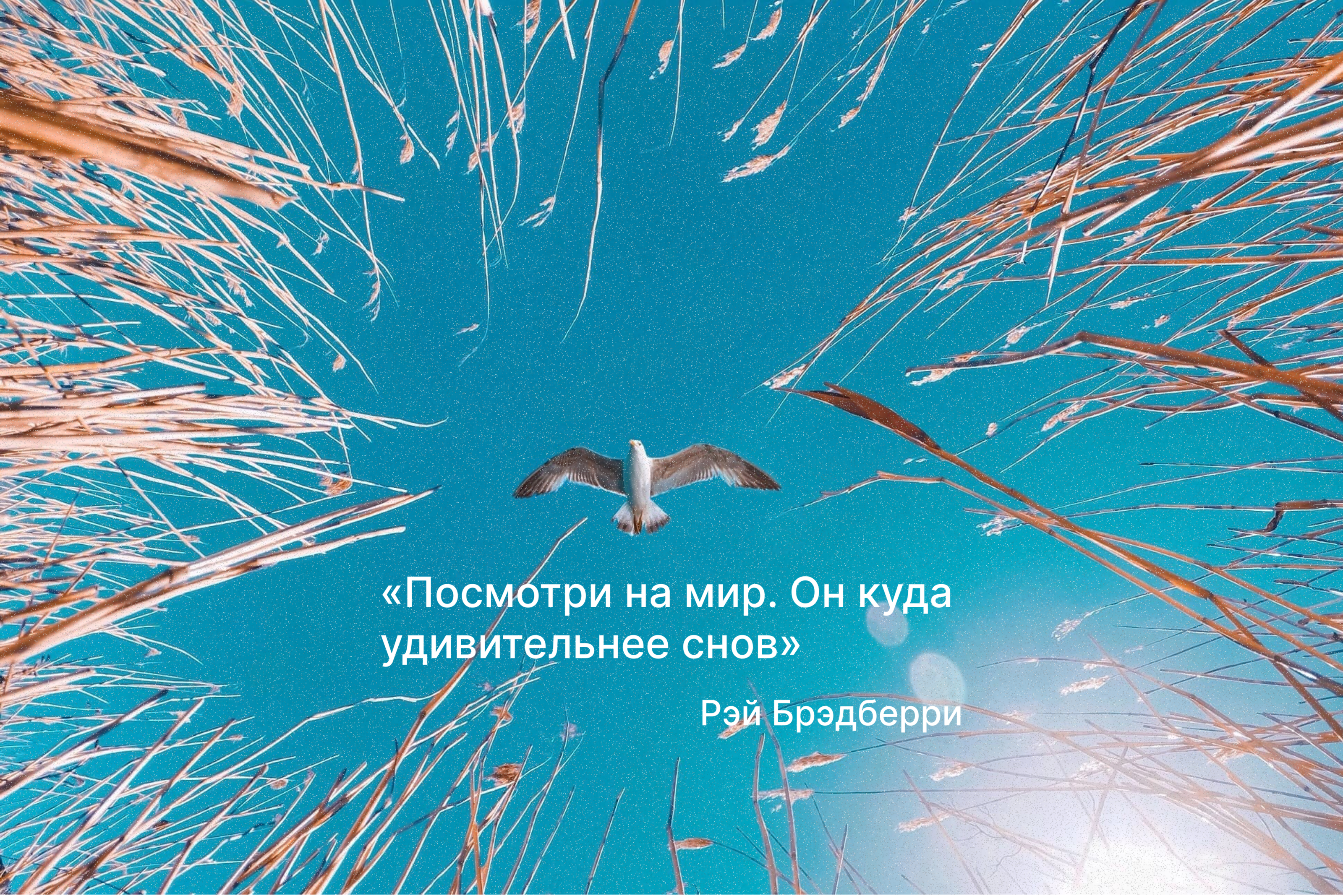 Туристическое агентство / Логотип /Фирменный стиль — Изображение №10 — Брендинг на Dprofile