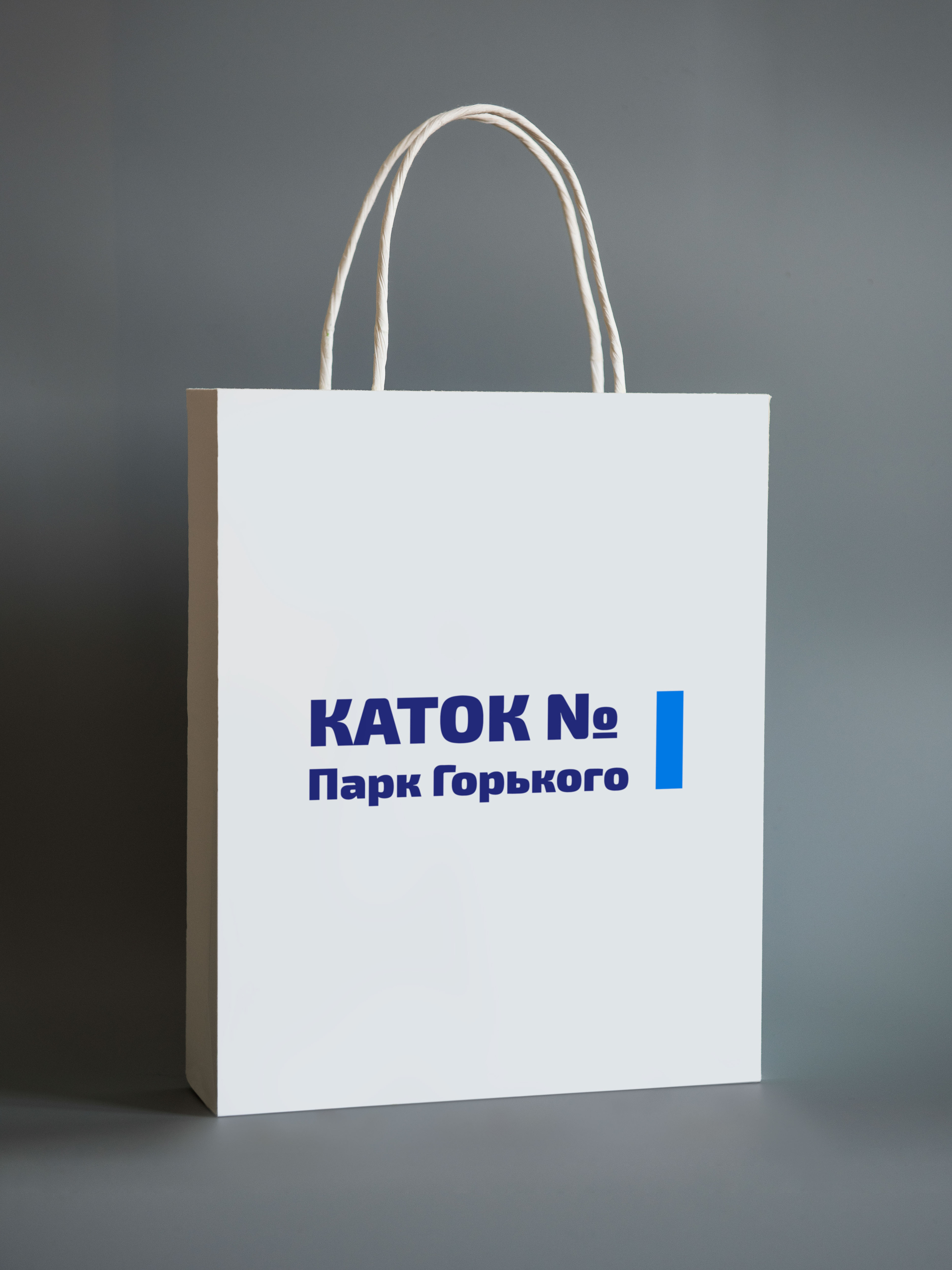 Концепция айдентики_Каток в Парке Горького — Изображение №41 — Интерфейсы, Брендинг на Dprofile