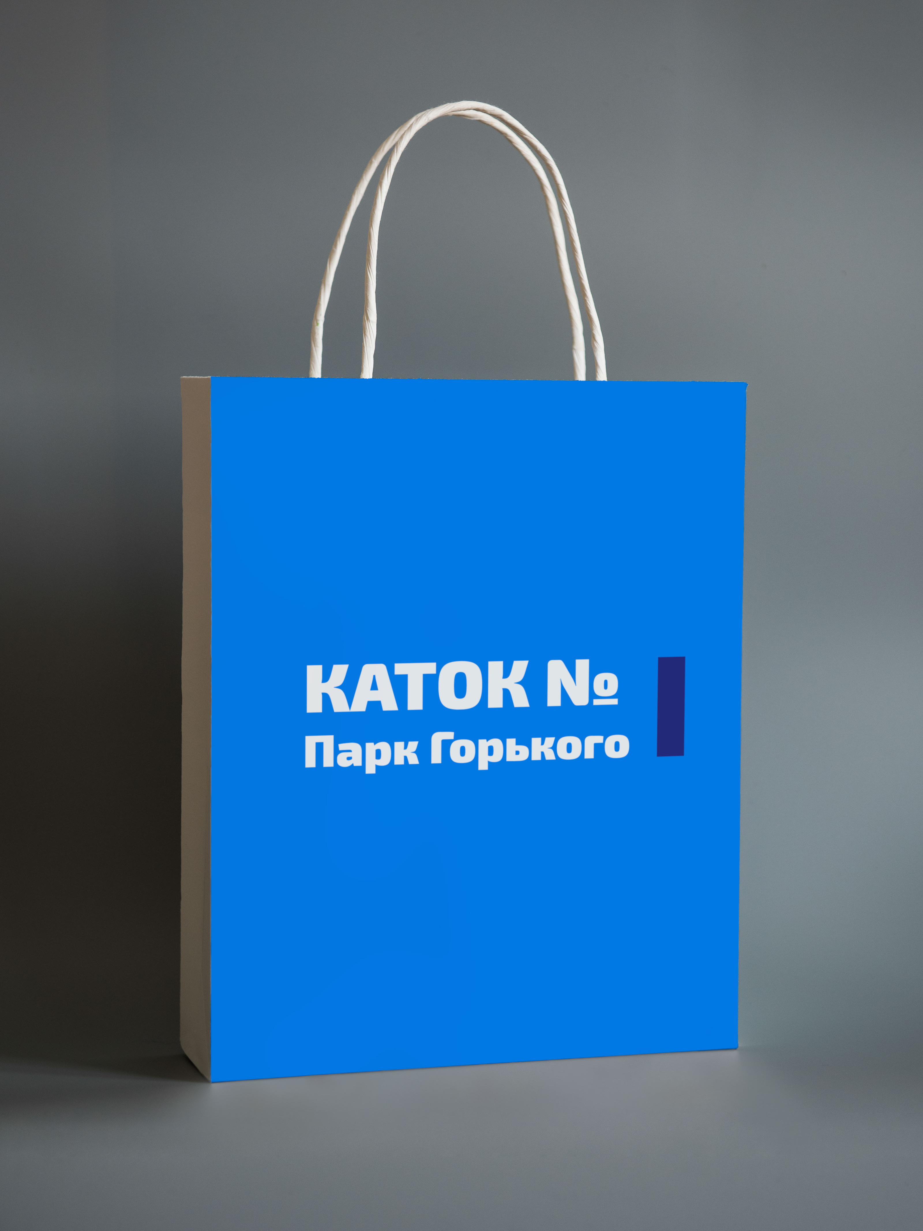 Концепция айдентики_Каток в Парке Горького — Изображение №38 — Интерфейсы, Брендинг на Dprofile