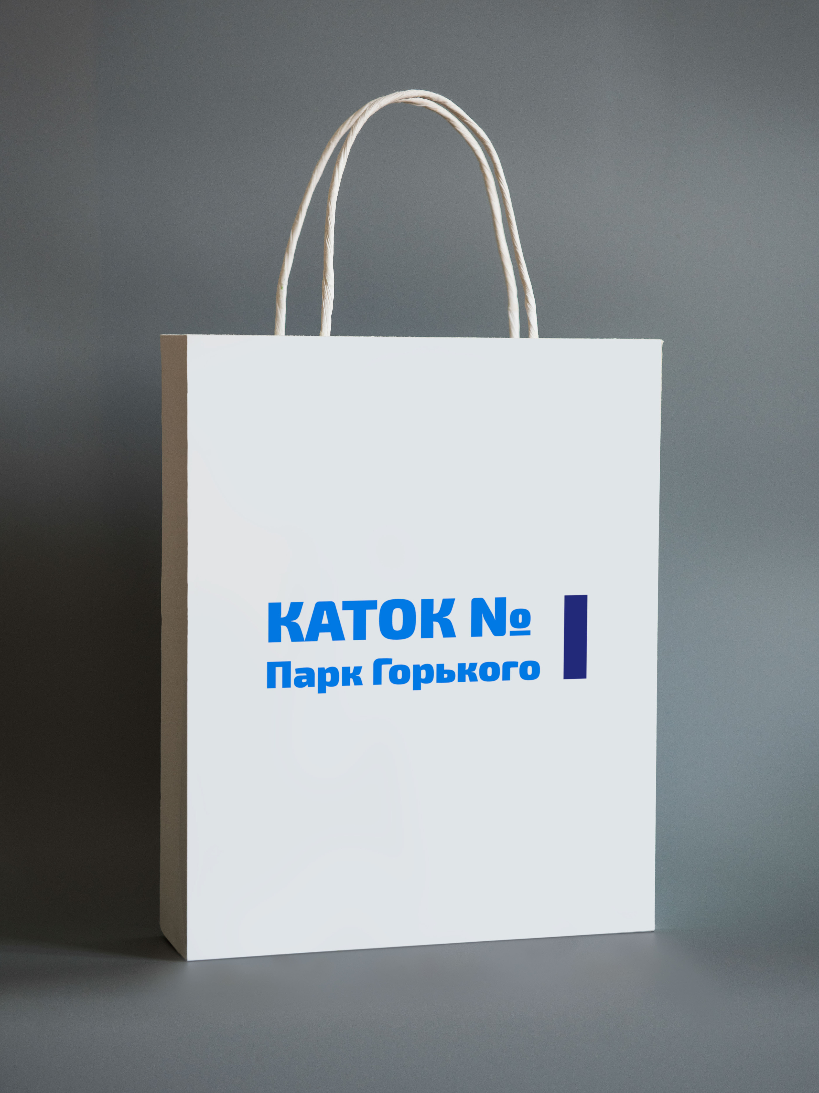 Концепция айдентики_Каток в Парке Горького — Изображение №40 — Интерфейсы, Брендинг на Dprofile