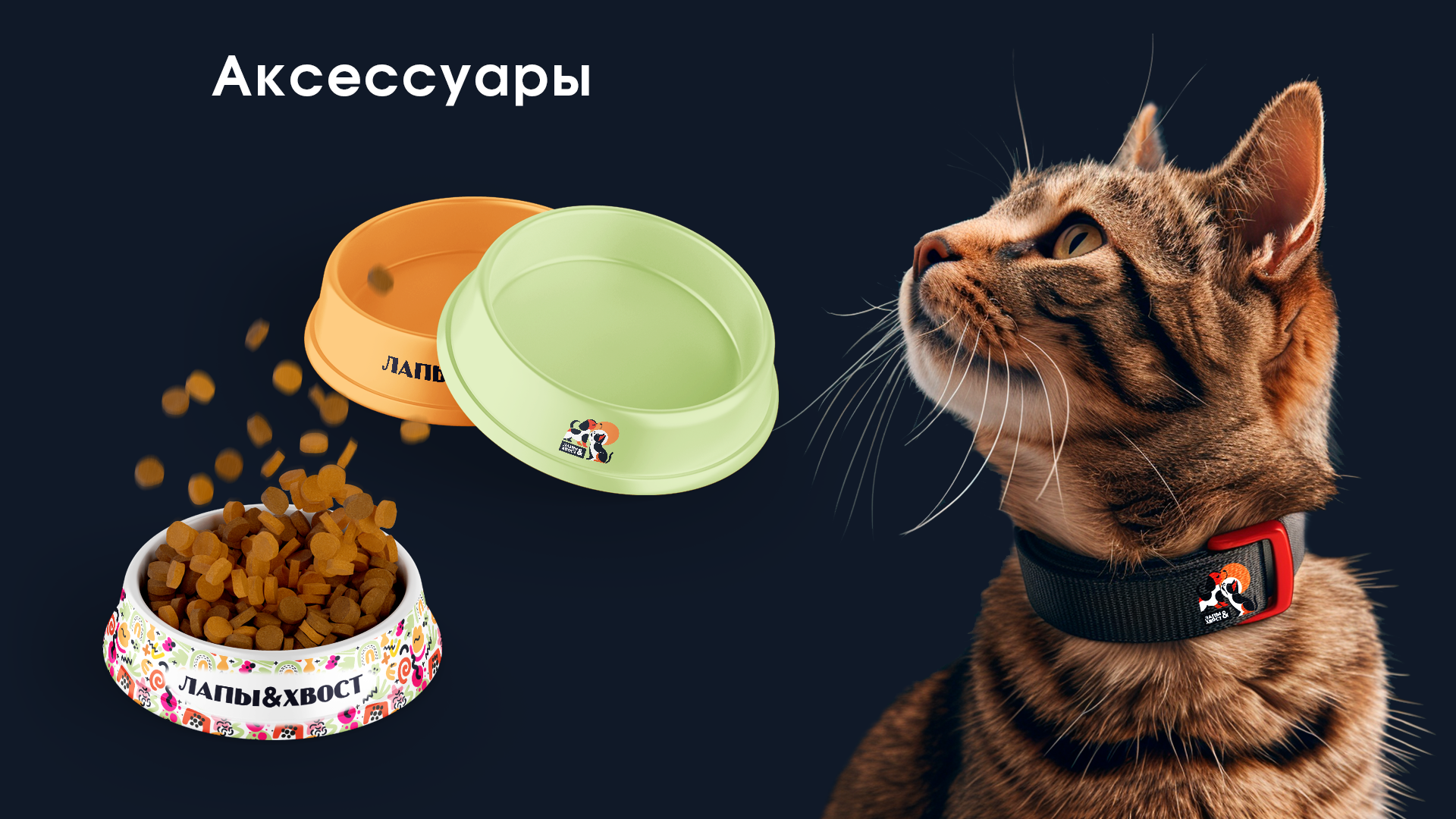 фирменный стиль зоомагазин "Лапы и Хвост" — Изображение №10 — Брендинг на Dprofile