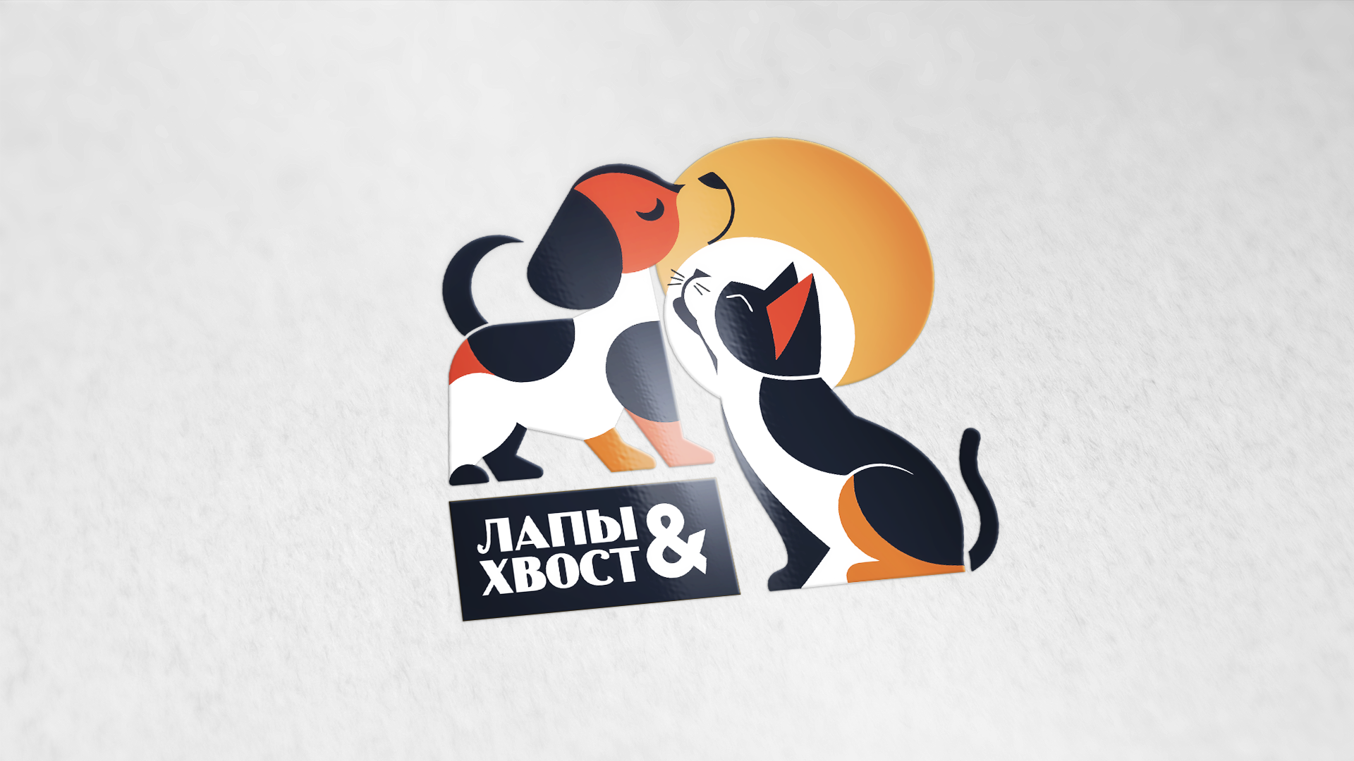 фирменный стиль зоомагазин "Лапы и Хвост" — Изображение №1 — Брендинг на Dprofile