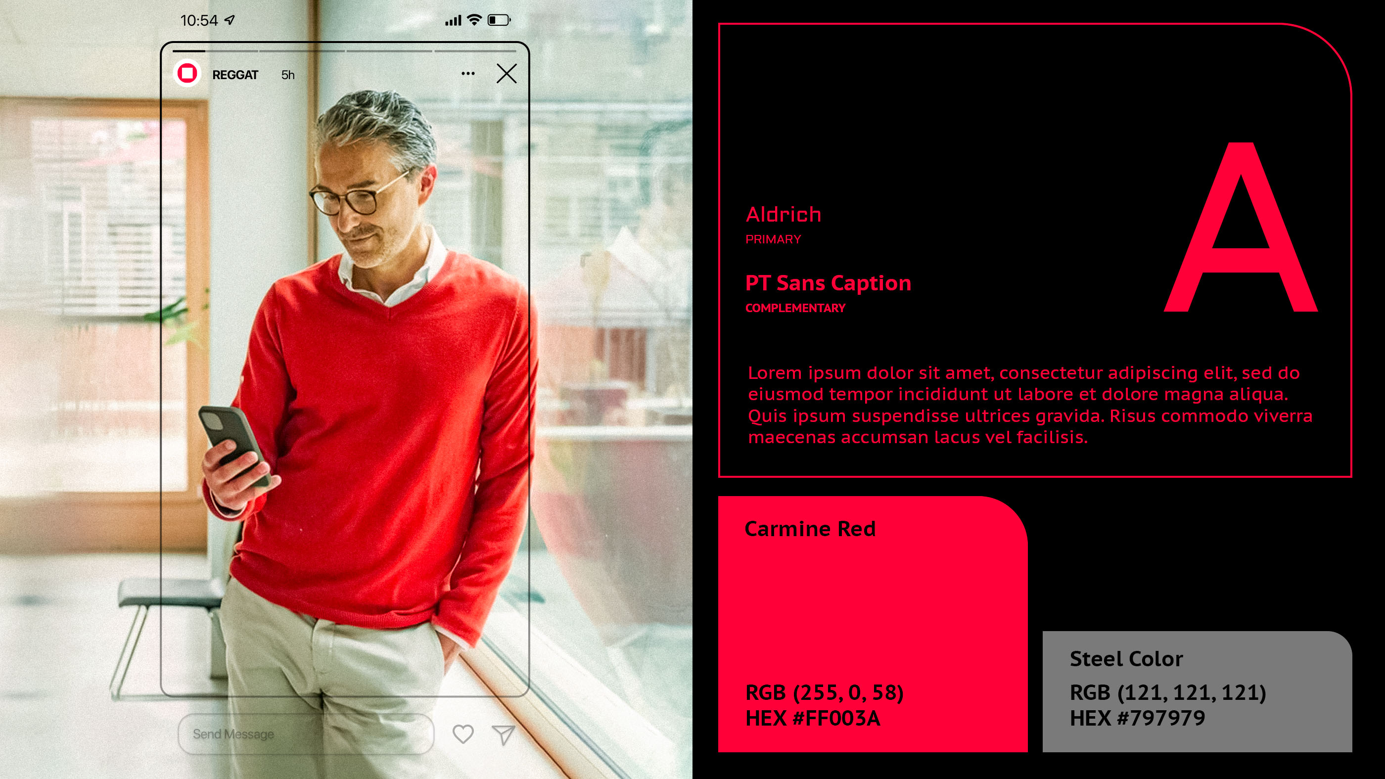 Reggat — Финансовые операции — Изображение №18 — Брендинг, Графика на Dprofile