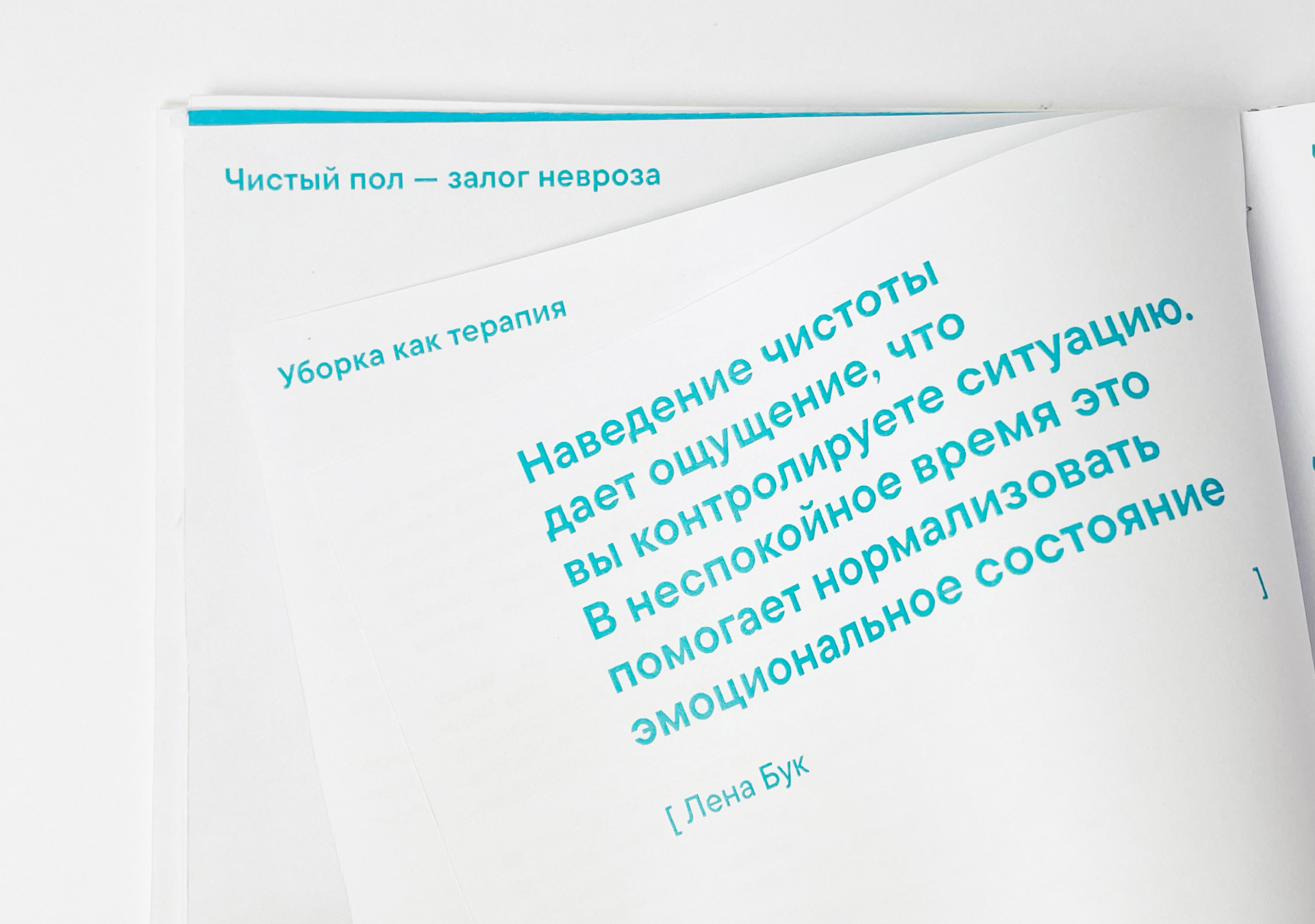Дизайн книги об организации пространства и восприятии уборки — Изображение №4 — Графика на Dprofile