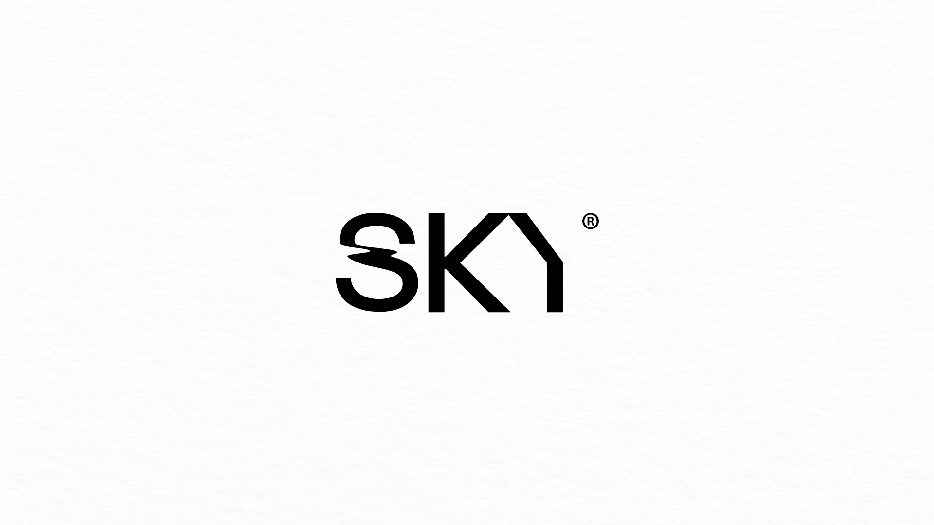 SKY® — Изображение №3 — Брендинг на Dprofile
