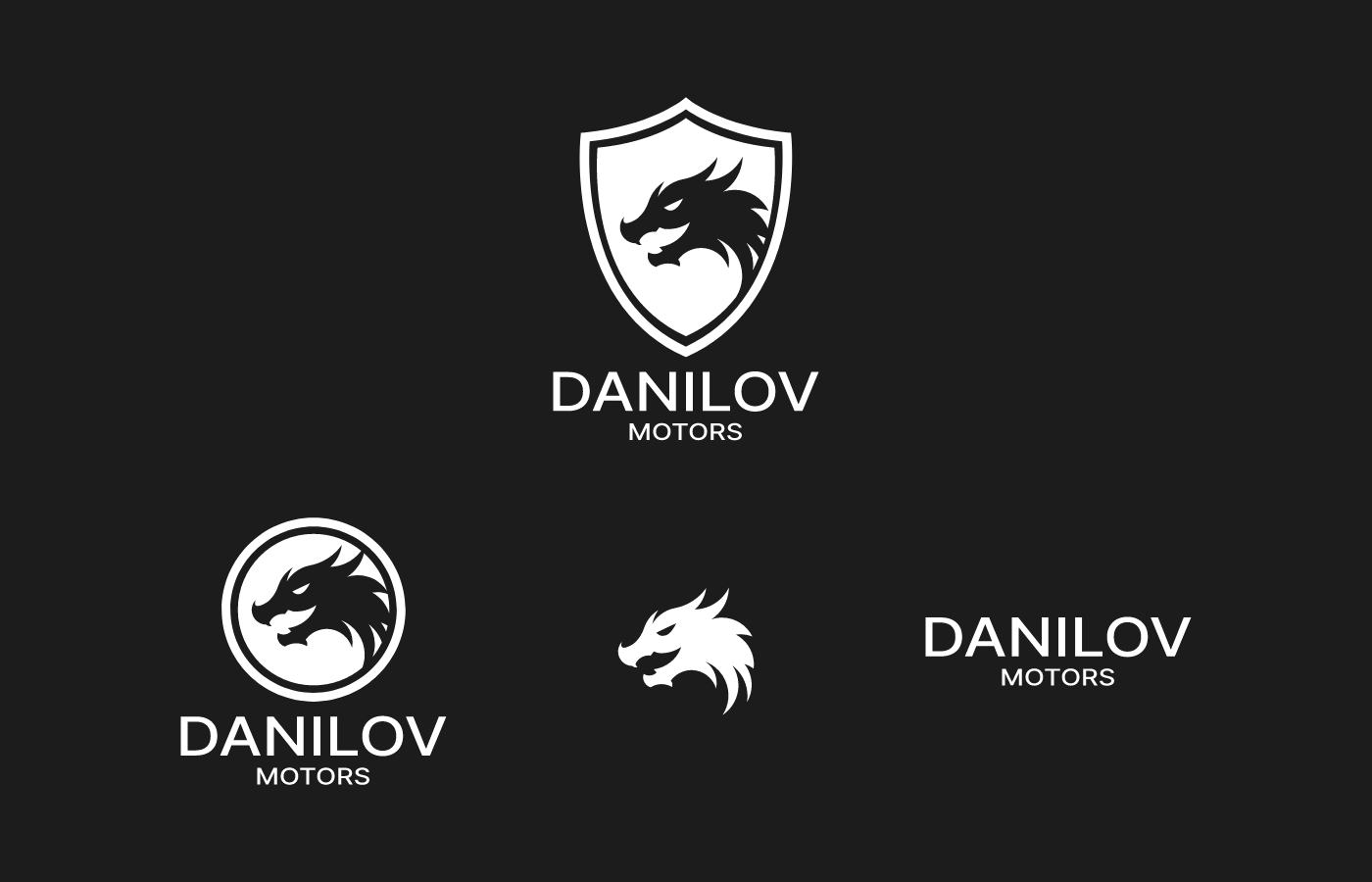 Danilov Motors — Изображение №3 — Брендинг, Графика на Dprofile