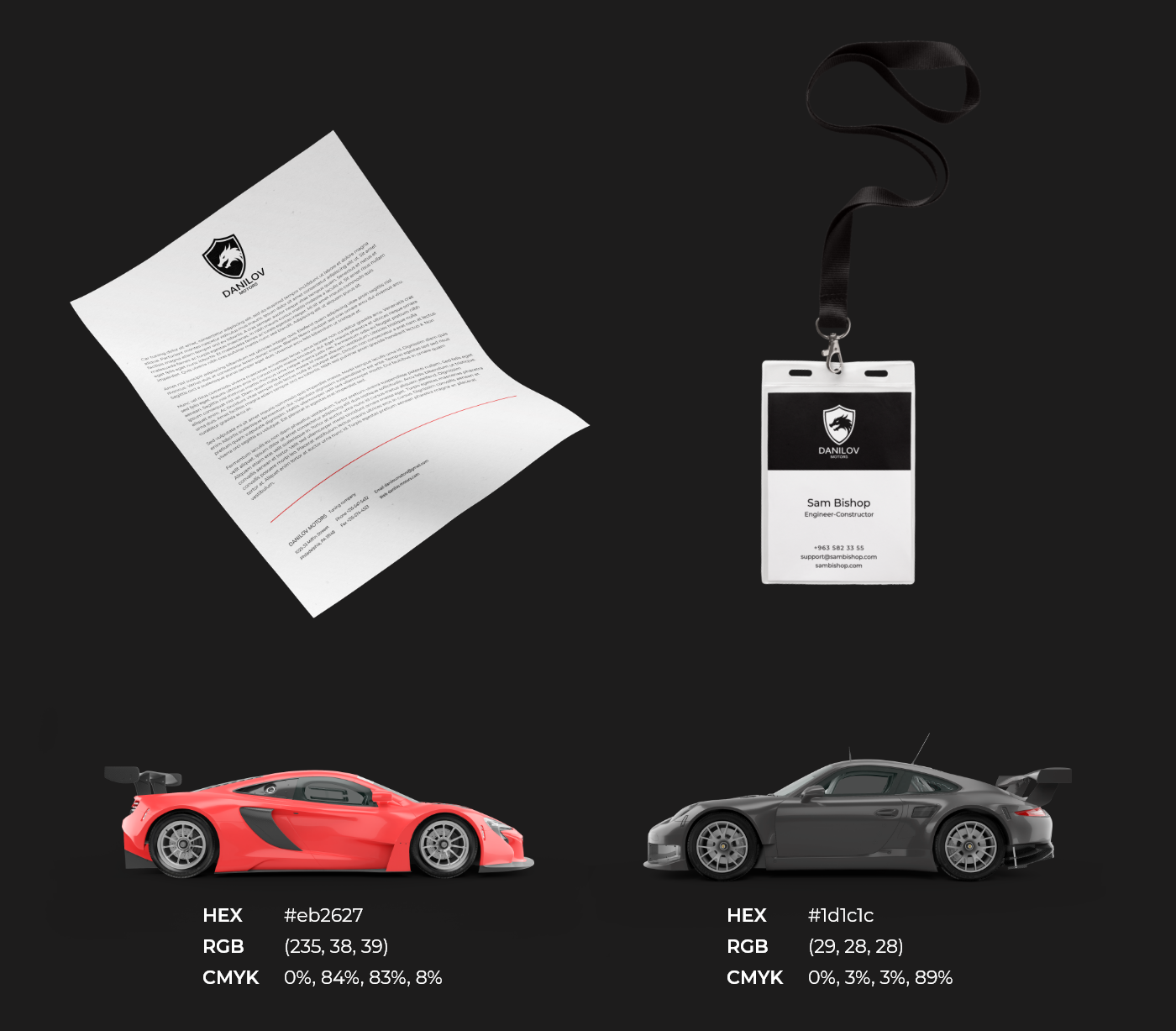 Danilov Motors — Изображение №11 — Брендинг, Графика на Dprofile