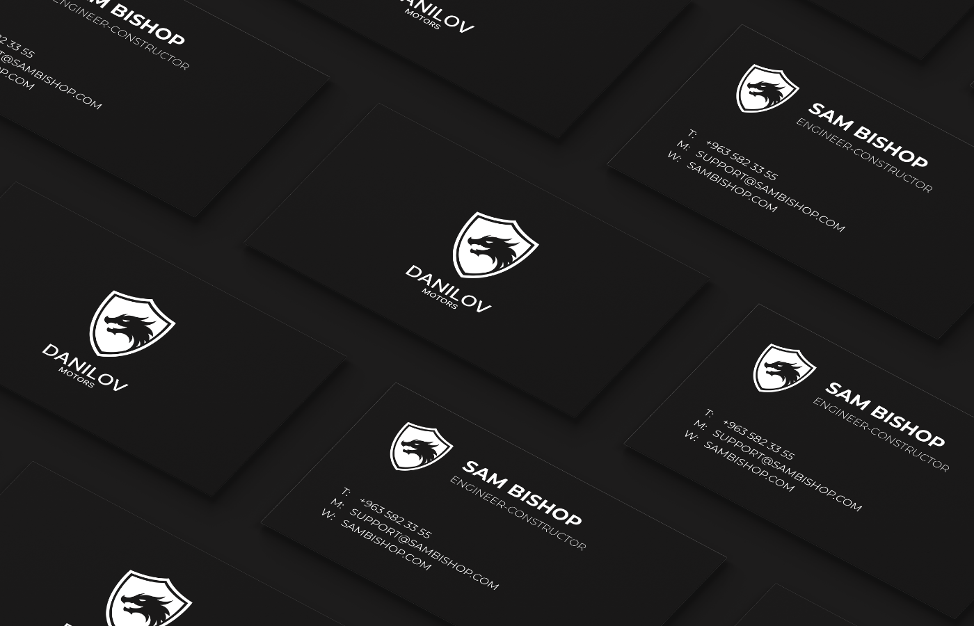 Danilov Motors — Изображение №12 — Брендинг, Графика на Dprofile
