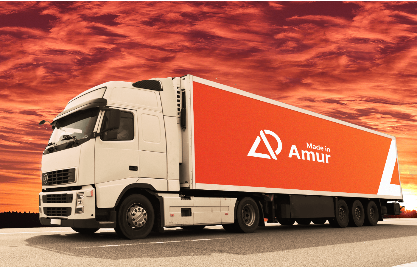 Made in Amur — Изображение №18 — Брендинг, Графика на Dprofile