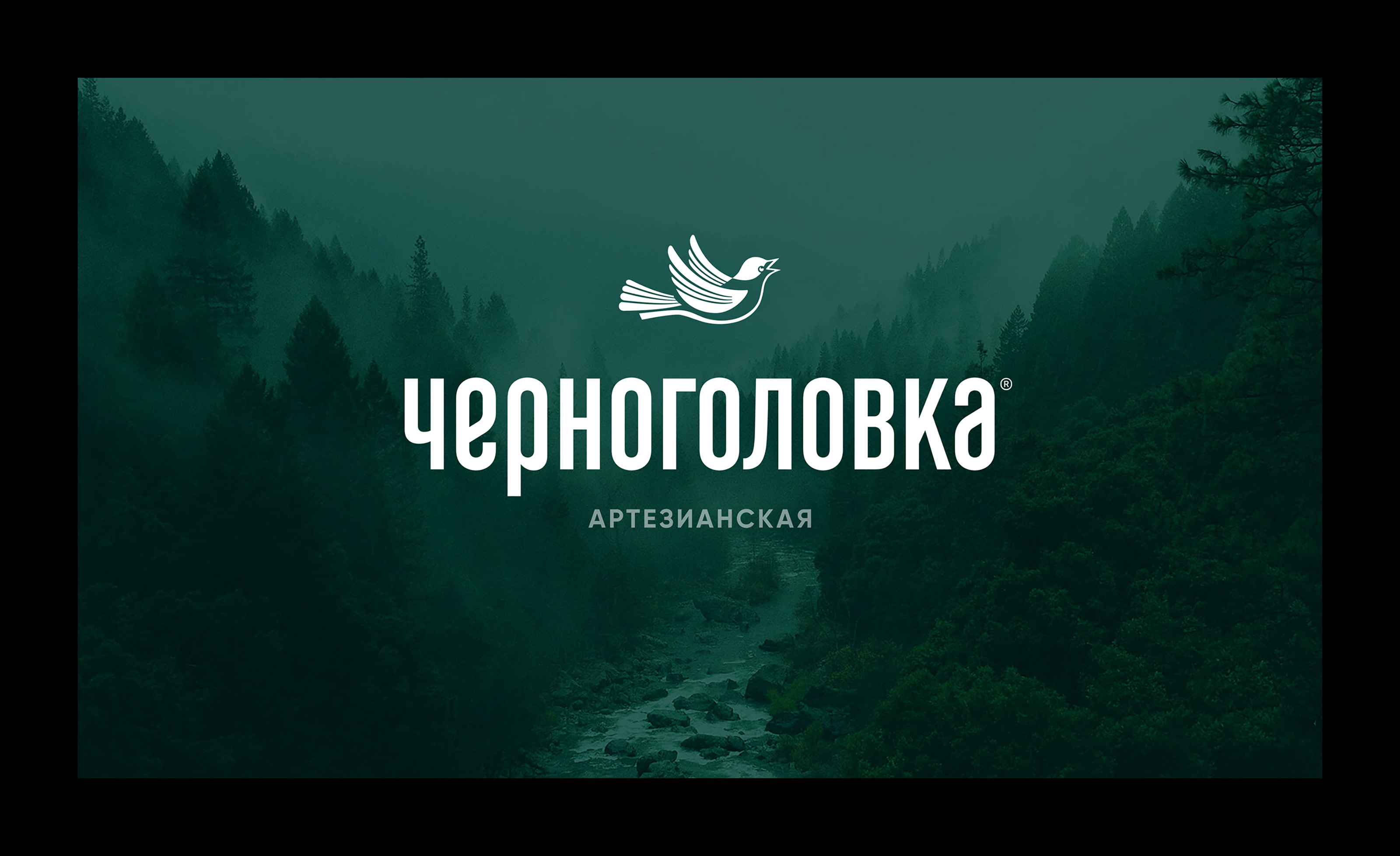 Chernogolovka — Изображение №2 — Брендинг на Dprofile