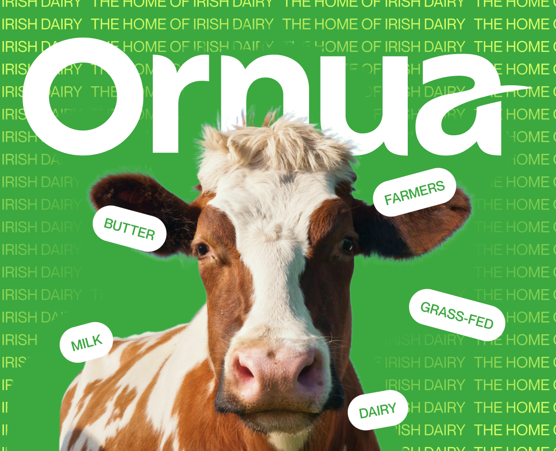 ORNUA | CORPORATE WEBSITE REDESIGN — Интерфейсы, Анимация на Dprofile