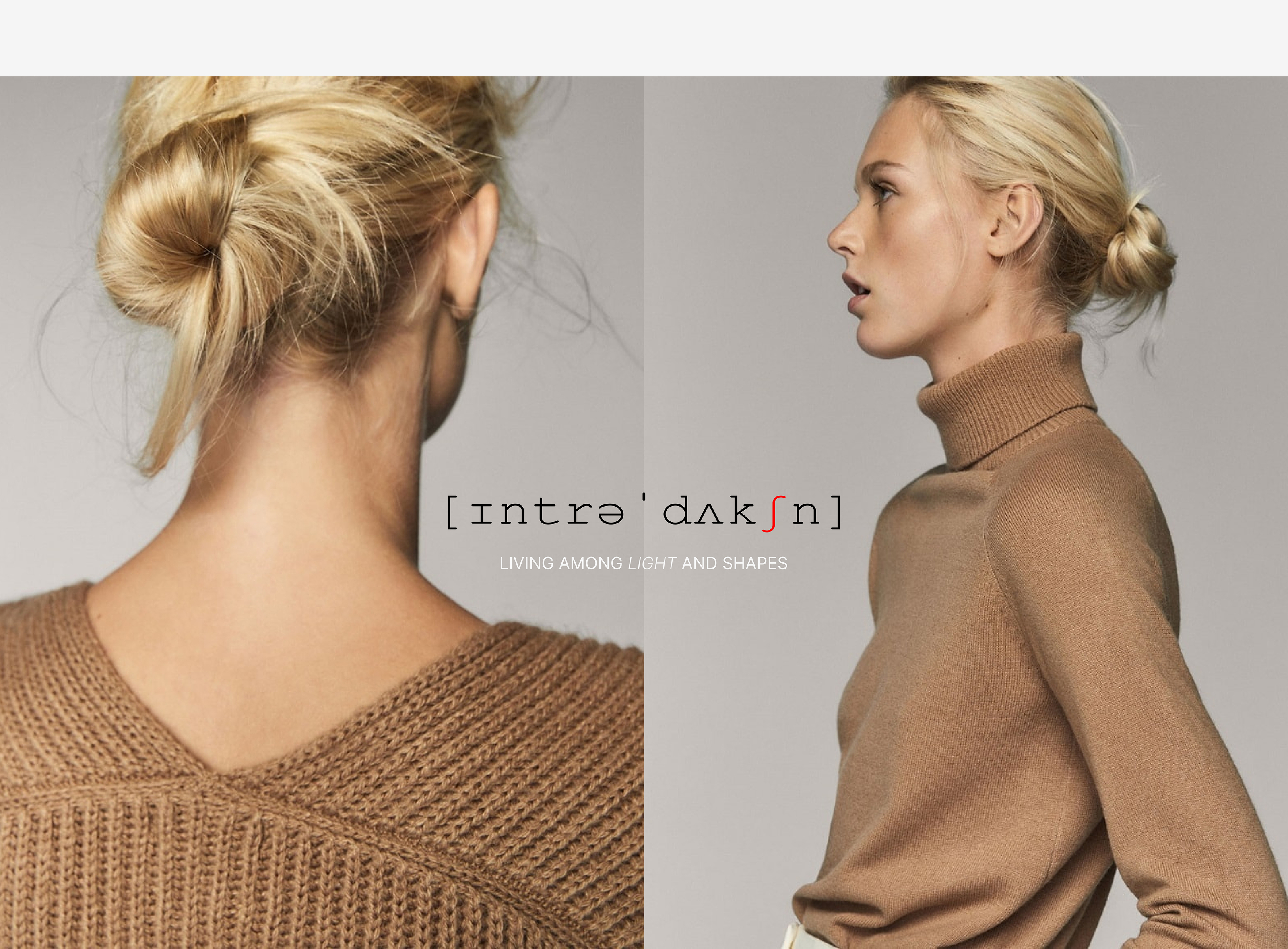 INTRODUCTION E-COMMERCE WEBDESIGN CONCEPT — Изображение №7 — Интерфейсы, Брендинг на Dprofile