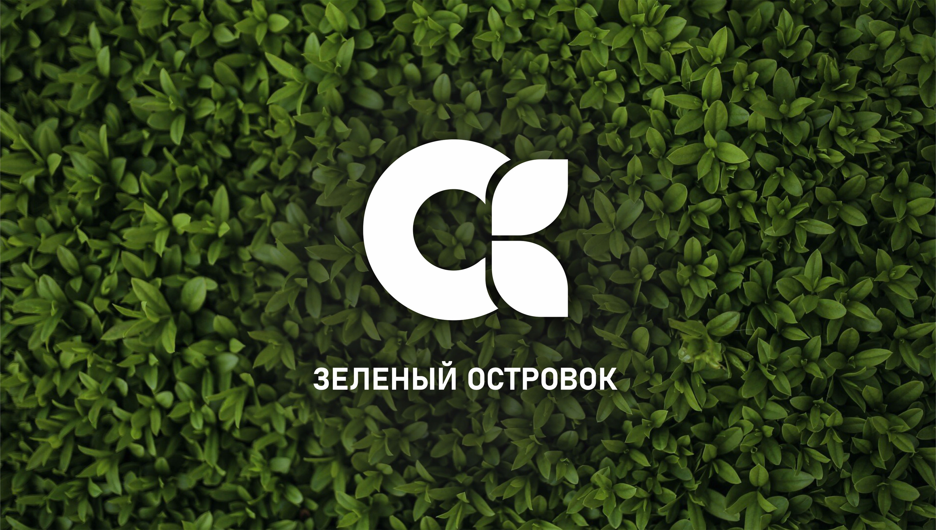 Логотип, фирменный стиль — Изображение №1 — Интерфейсы на Dprofile