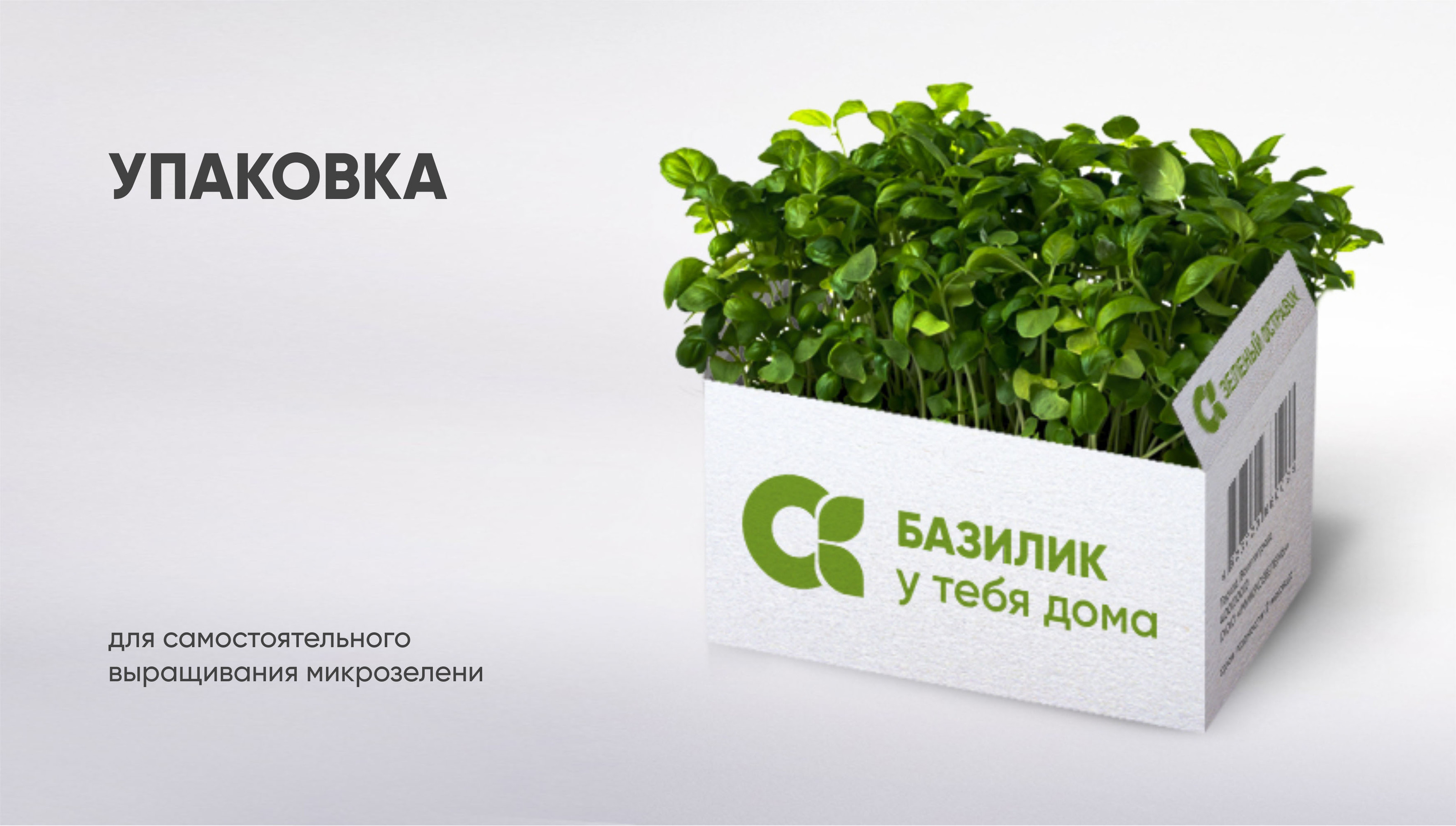 Логотип, фирменный стиль — Изображение №2 — Интерфейсы на Dprofile