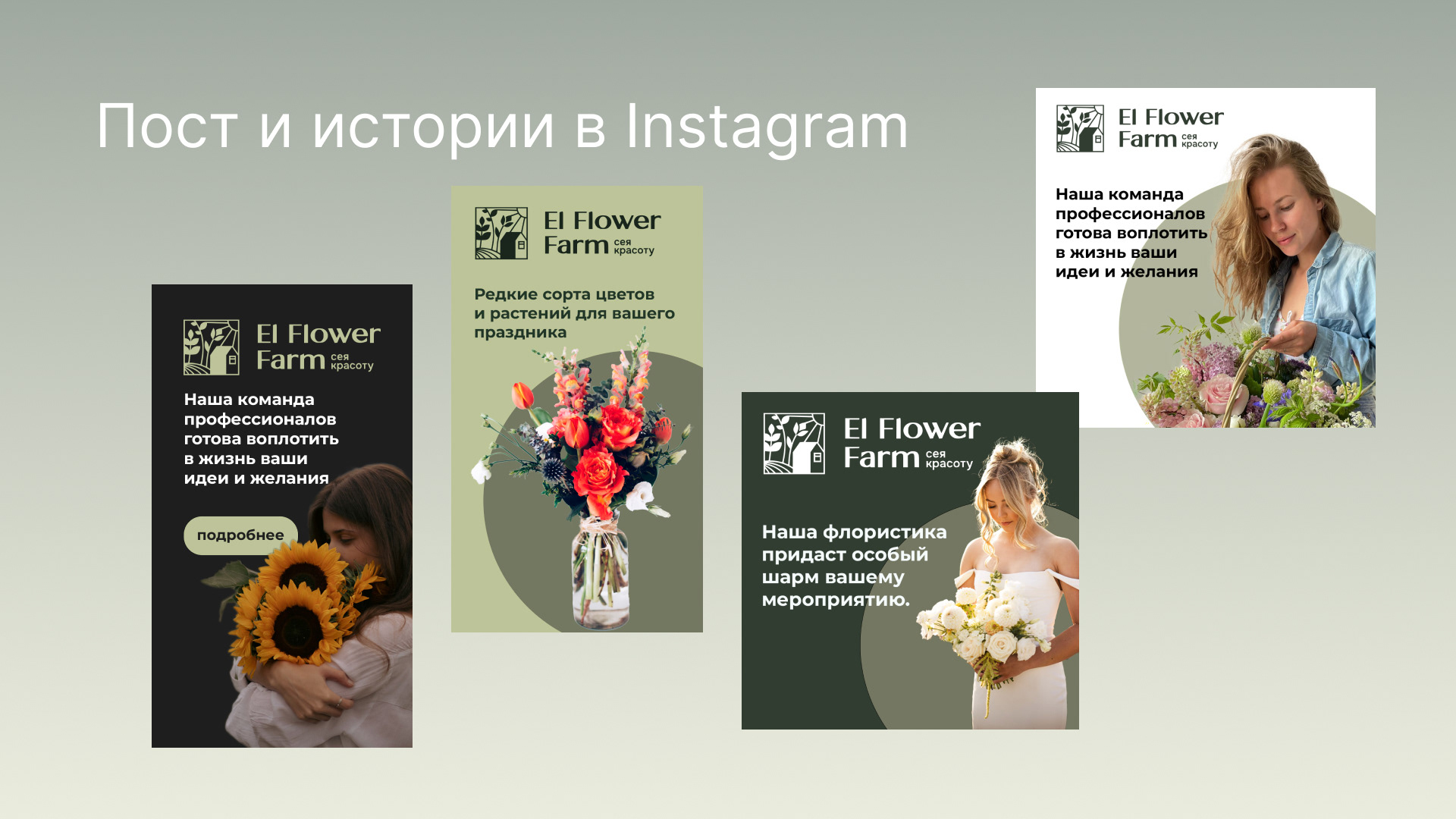 Рекламные баннеры и дизайн соцсетей для цветочной фермы — Изображение №6 — Интерфейсы, Брендинг на Dprofile