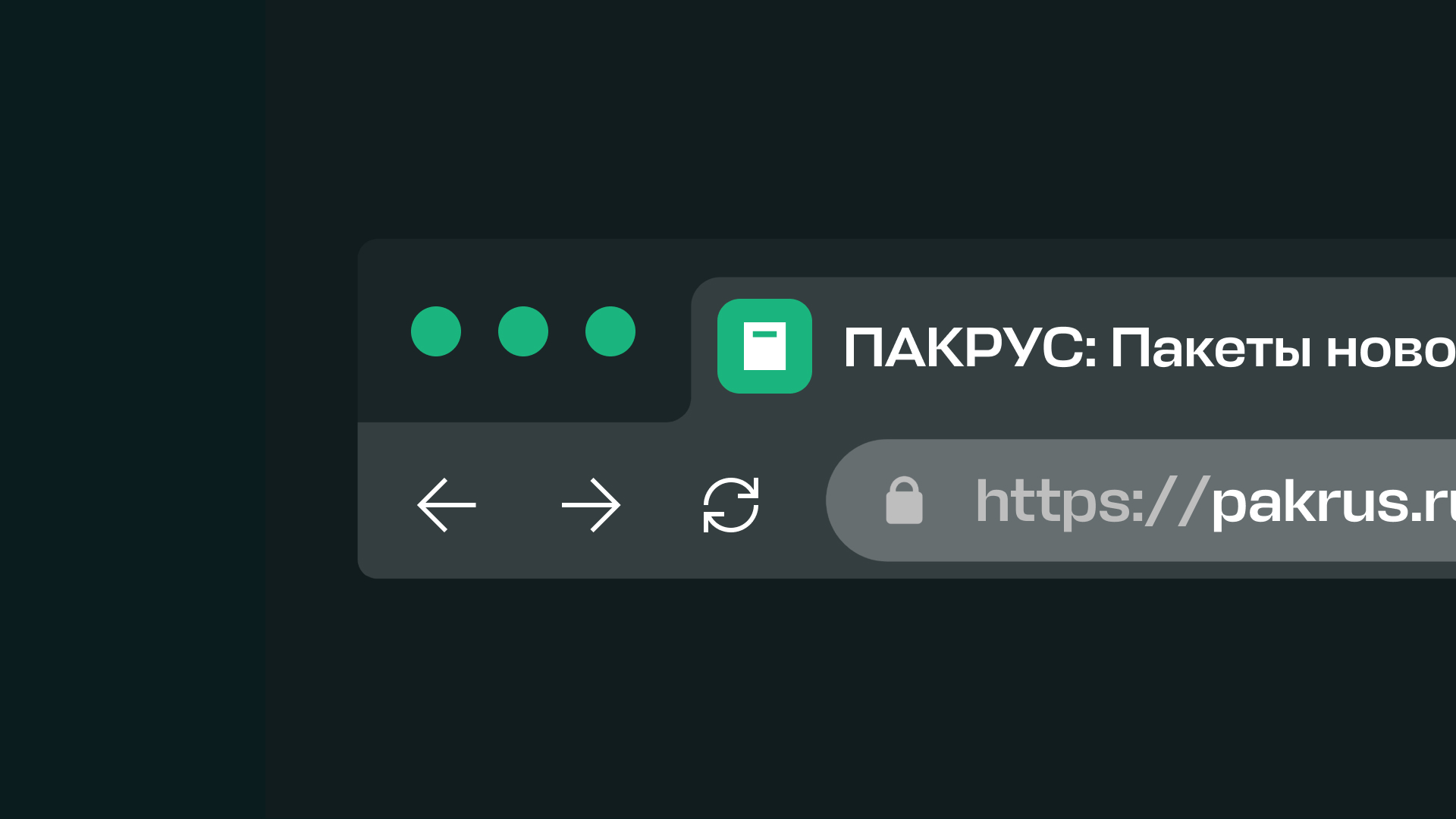 ПАКРУС — Изображение №2 — Интерфейсы, Брендинг на Dprofile