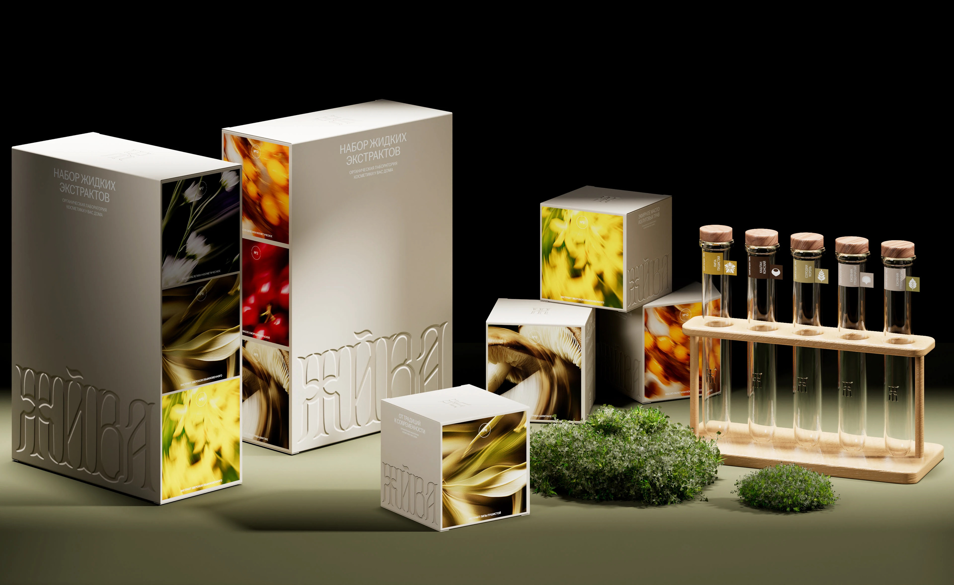 Концепт экологичного бренда «Жива» — Изображение №7 — Брендинг, Графика на Dprofile