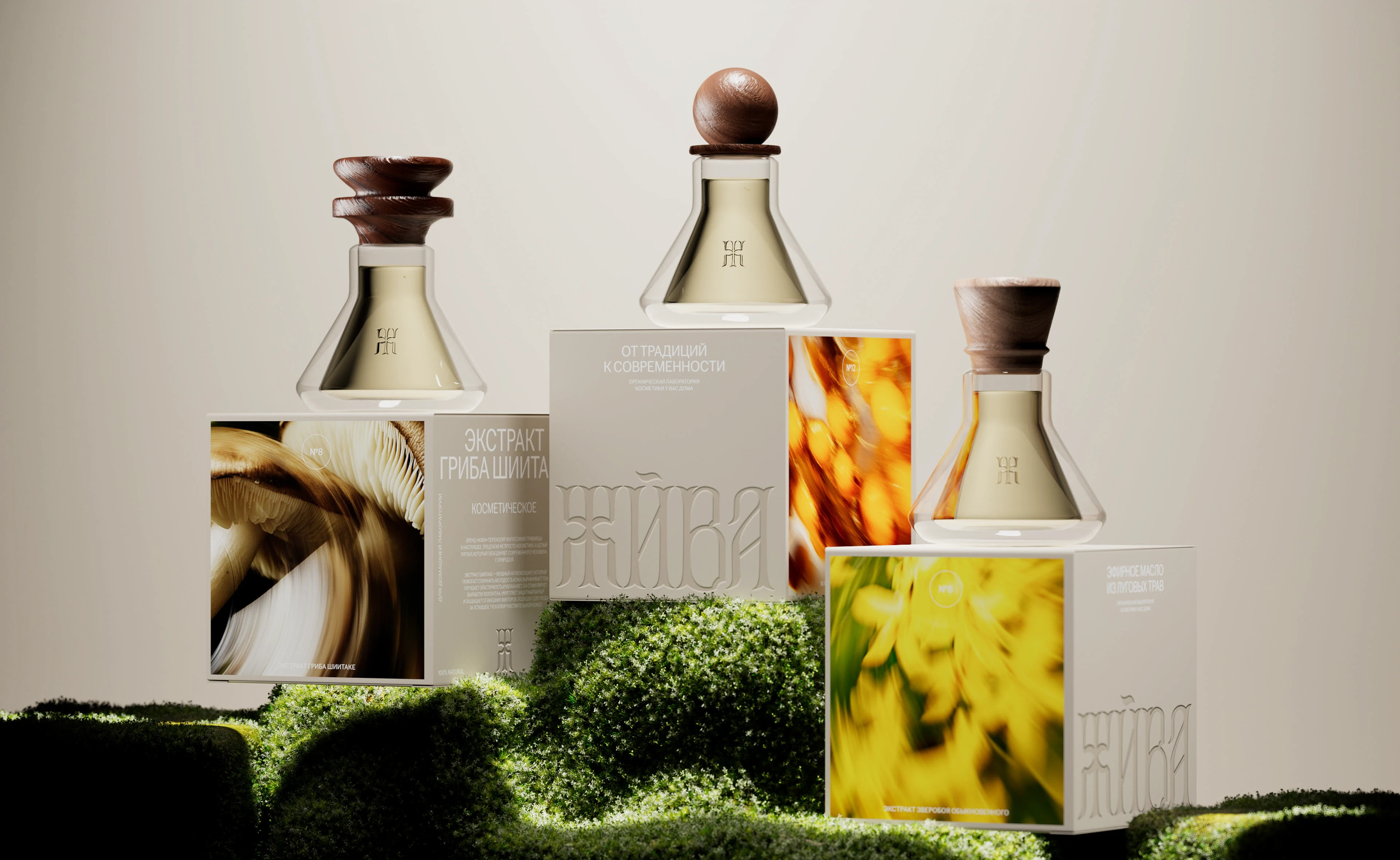 Концепт экологичного бренда «Жива» — Изображение №2 — Брендинг, Графика на Dprofile