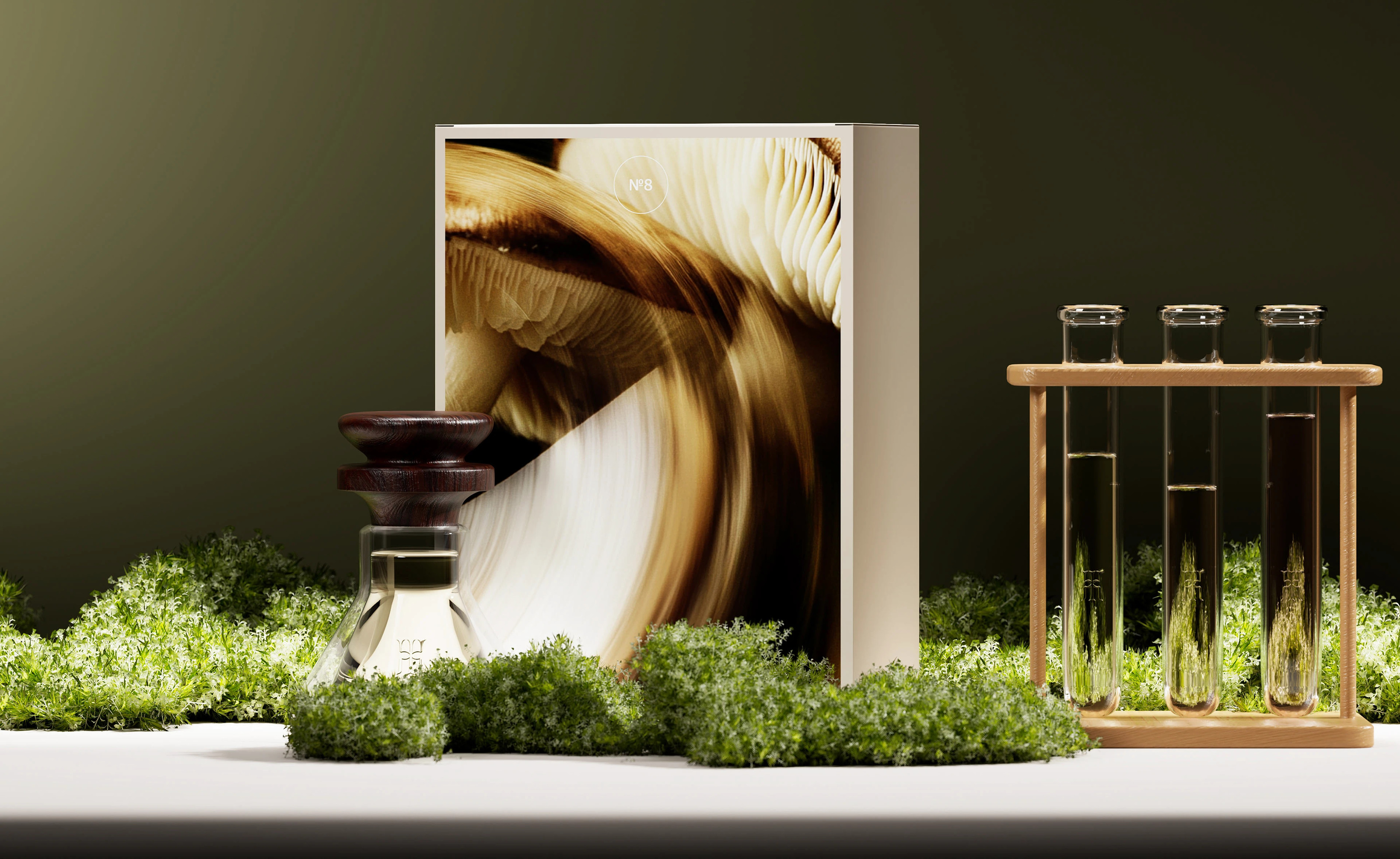 Концепт экологичного бренда «Жива» — Изображение №5 — Брендинг, Графика на Dprofile