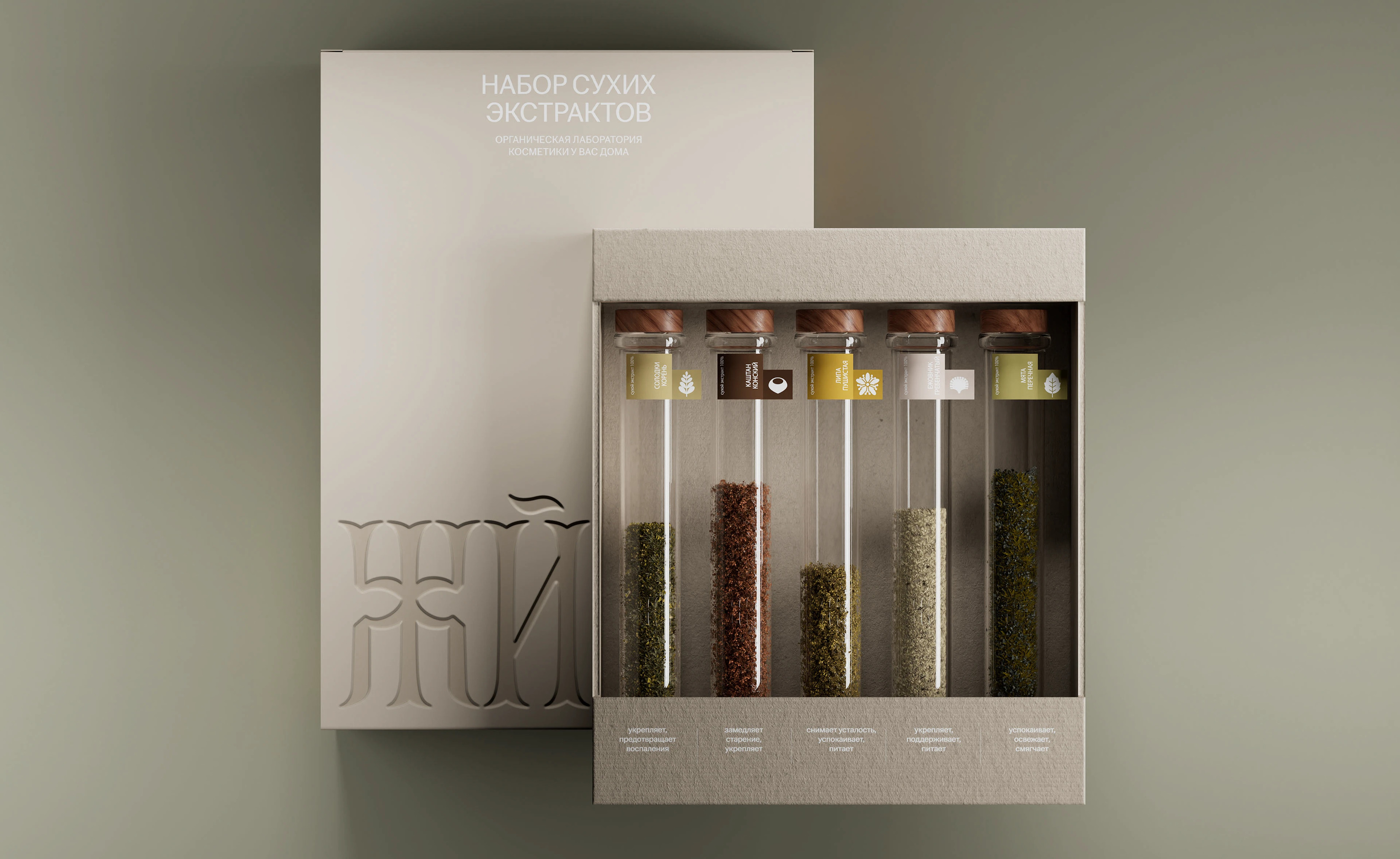 Концепт экологичного бренда «Жива» — Изображение №6 — Брендинг, Графика на Dprofile