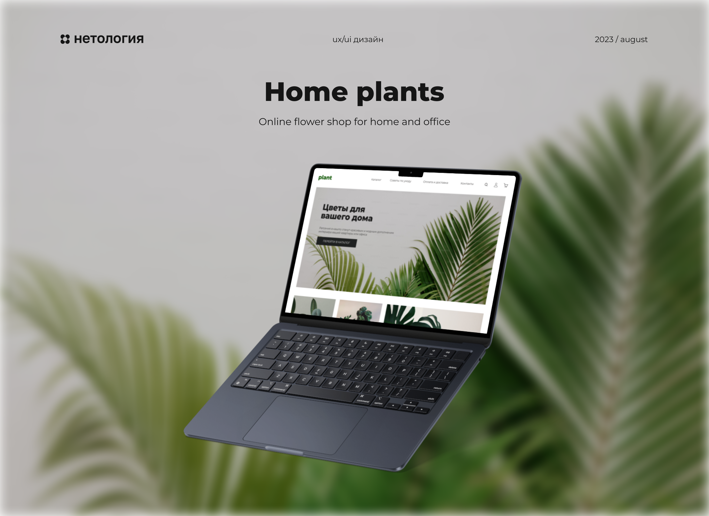 Home plants — Online flower shop for home and office — Изображение №1 — Интерфейсы на Dprofile
