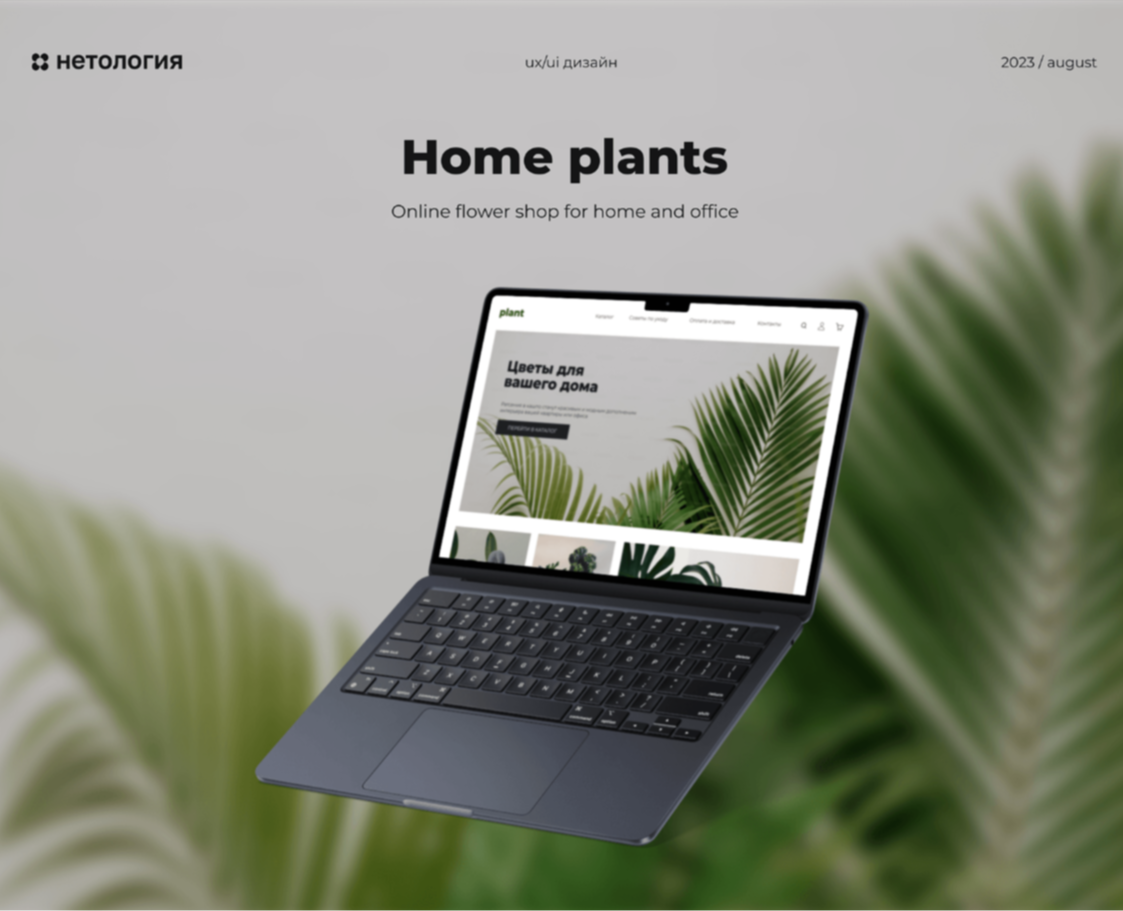 Home plants — Online flower shop for home and office на Dprofile