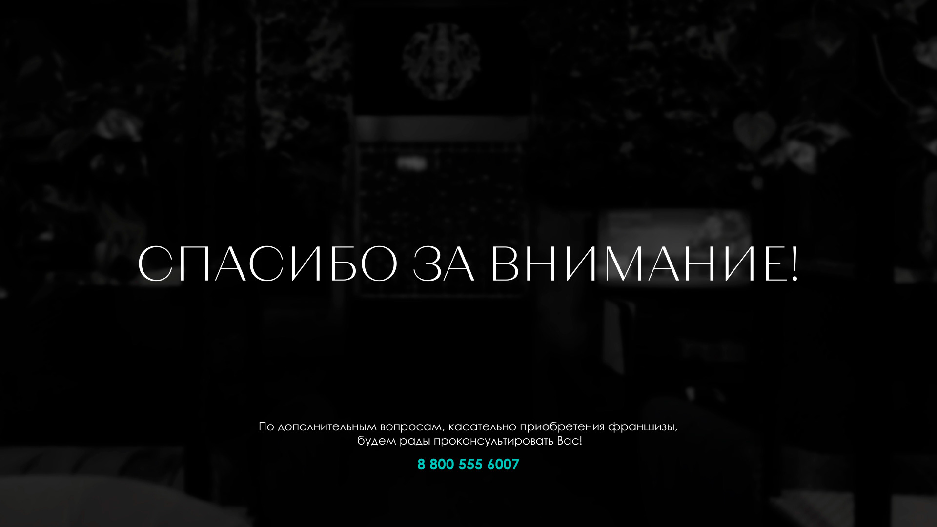 Presentation of the Mint Lounge franchise — Изображение №12 — Брендинг, Маркетинг на Dprofile