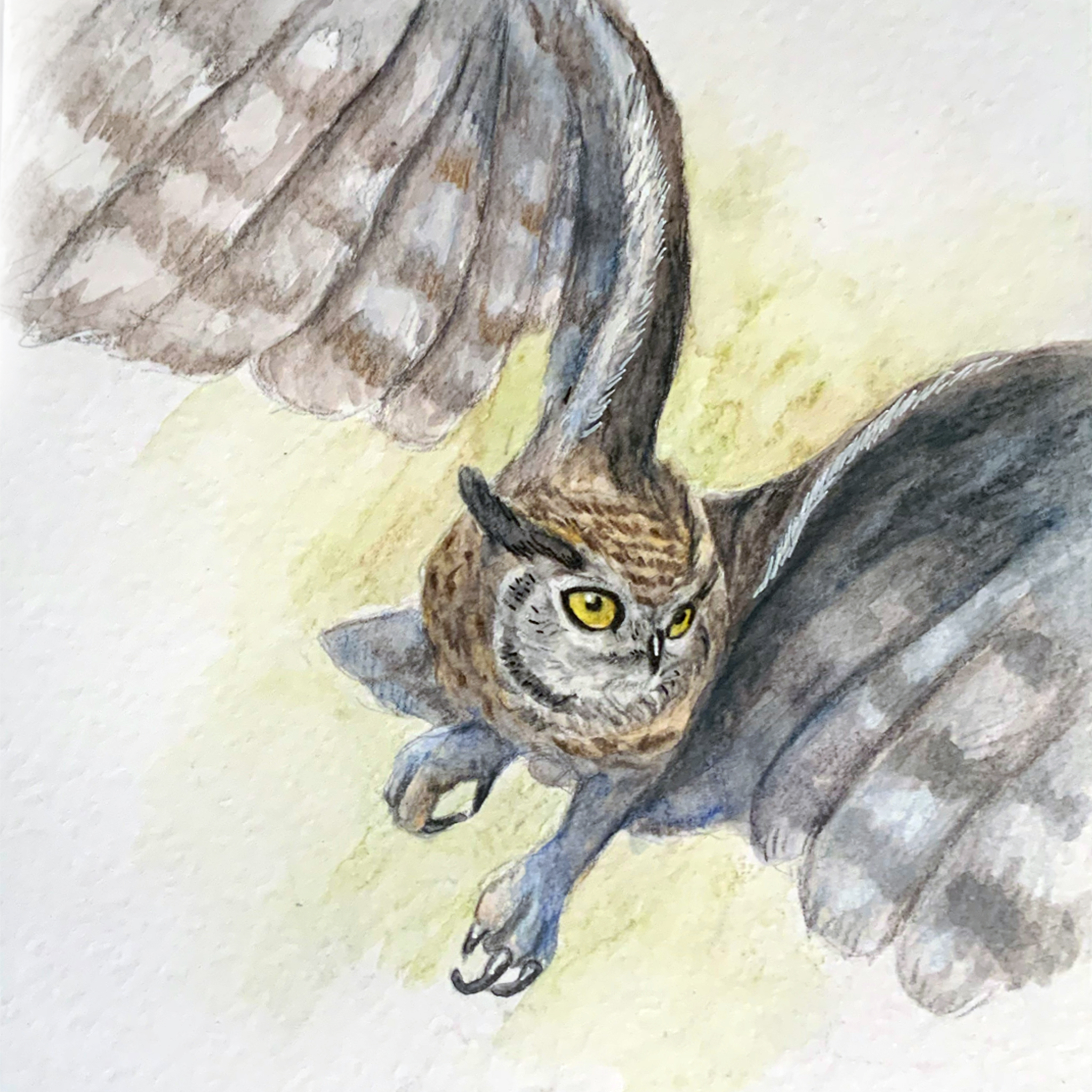 Pats — Изображение №7 — Иллюстрация, Графика на Dprofile