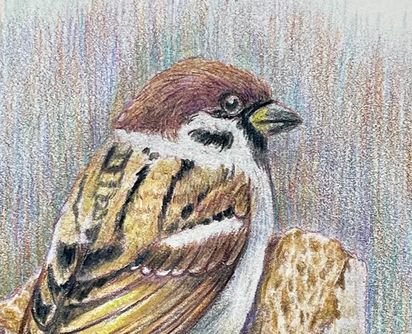 Городской сюрреализм — Иллюстрация, Графика на Dprofile