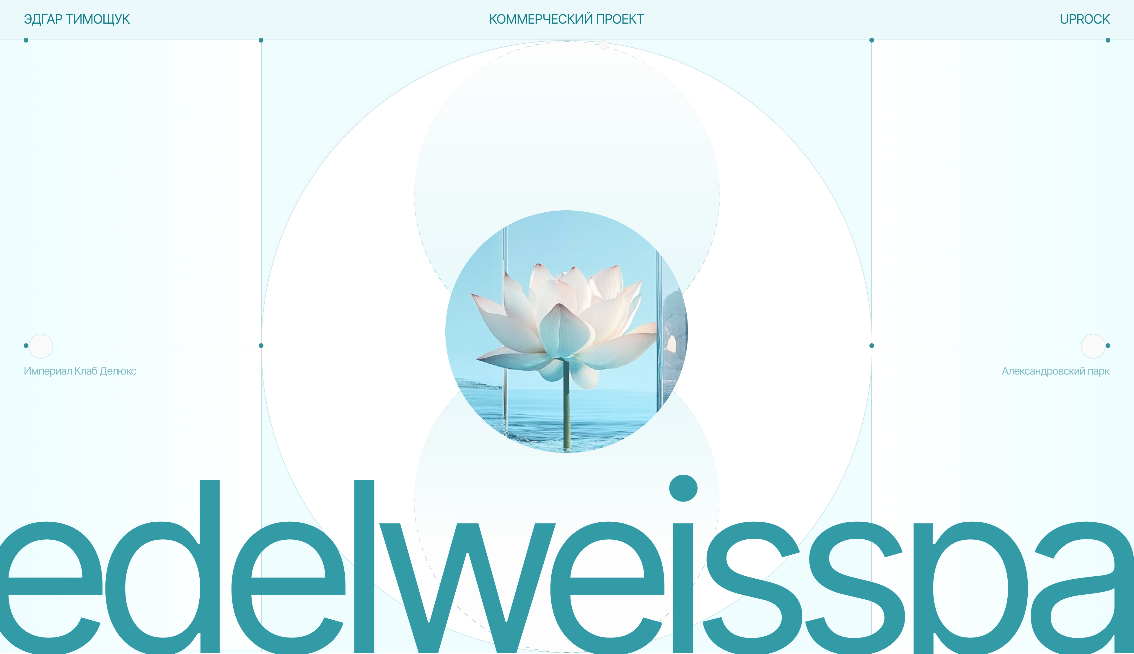 Edelweiss | Spa Salon | Landing Page — Изображение №1 — Интерфейсы, Брендинг на Dprofile