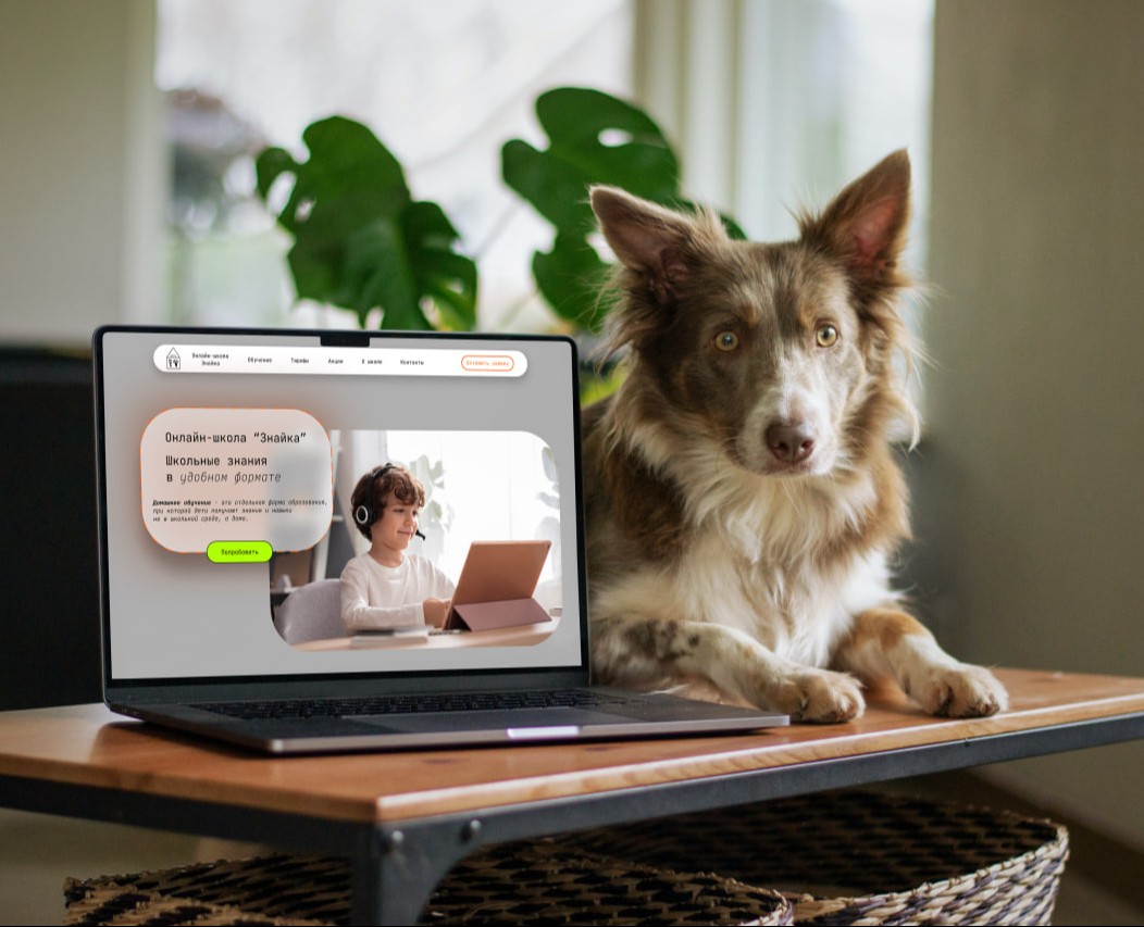 Онлайн-школа "Знайка" — Интерфейсы на Dprofile