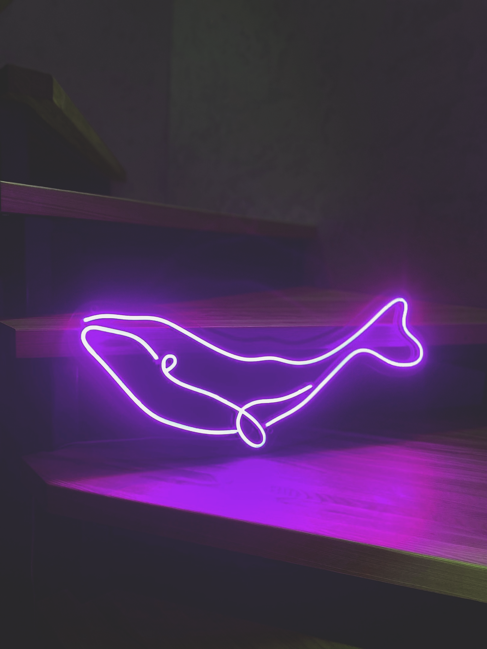 Карточки товаров для сайта Neon Core — Изображение №4 — Брендинг, Графика на Dprofile