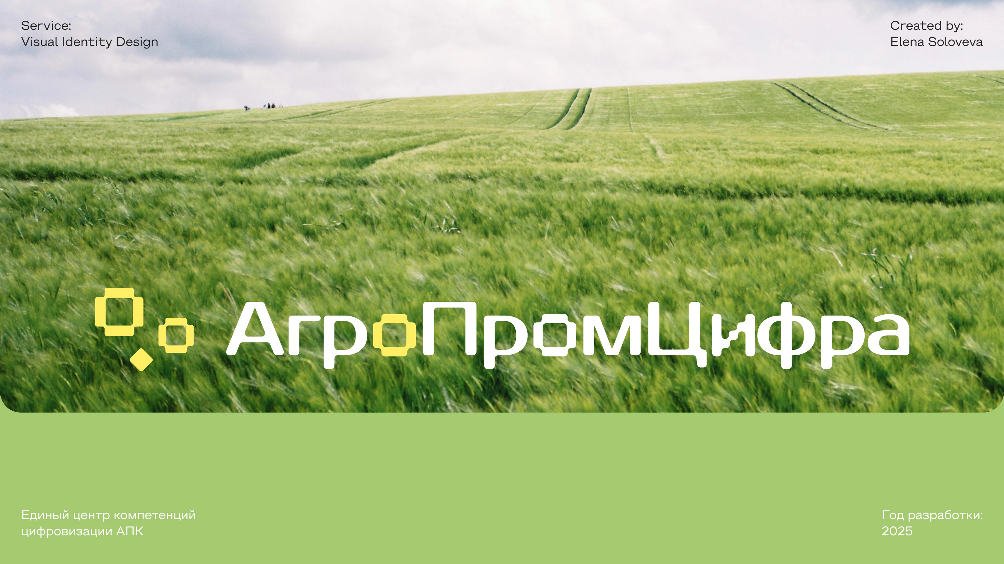 Агропромцифра | Visual Identity — Изображение №1 — Брендинг, Маркетинг на Dprofile