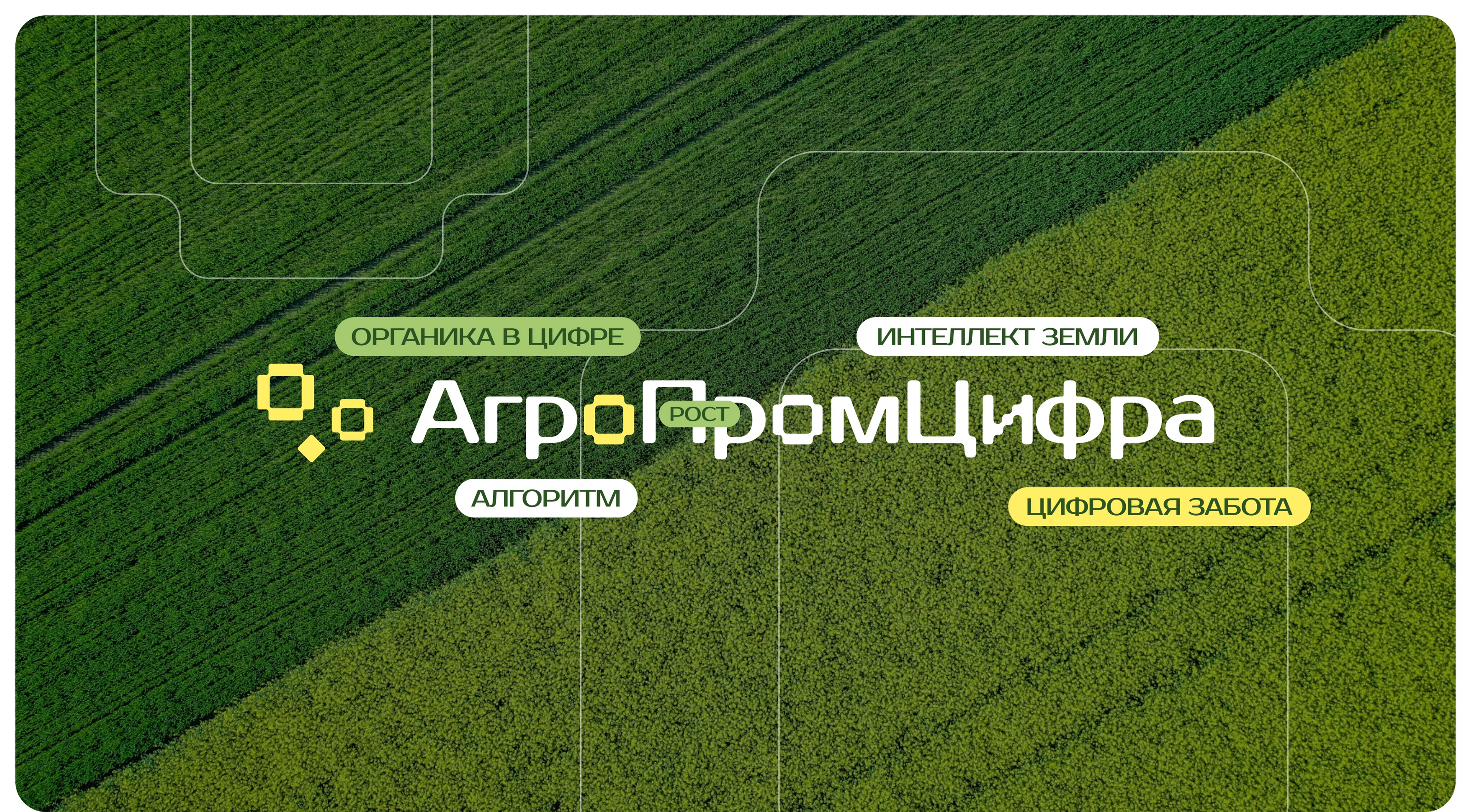 Агропромцифра | Visual Identity — Изображение №7 — Брендинг, Маркетинг на Dprofile