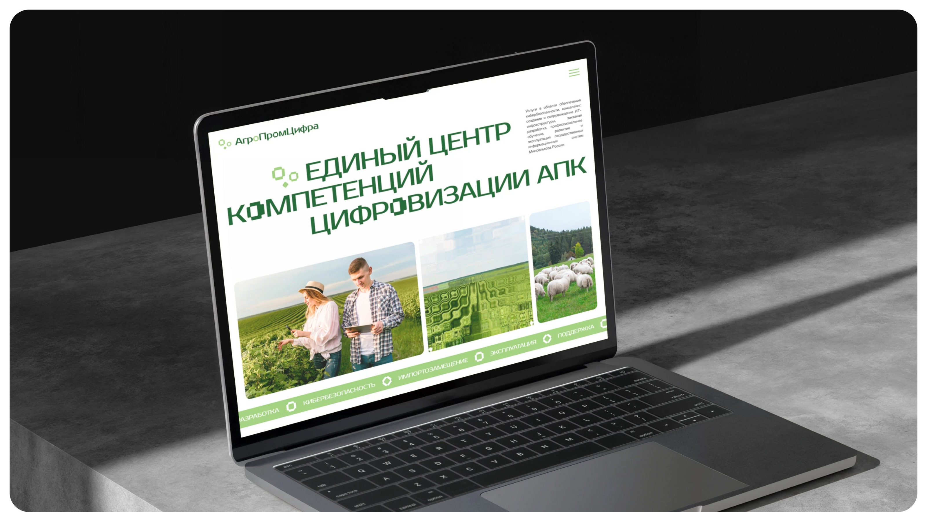 Агропромцифра | Visual Identity — Изображение №10 — Брендинг, Маркетинг на Dprofile