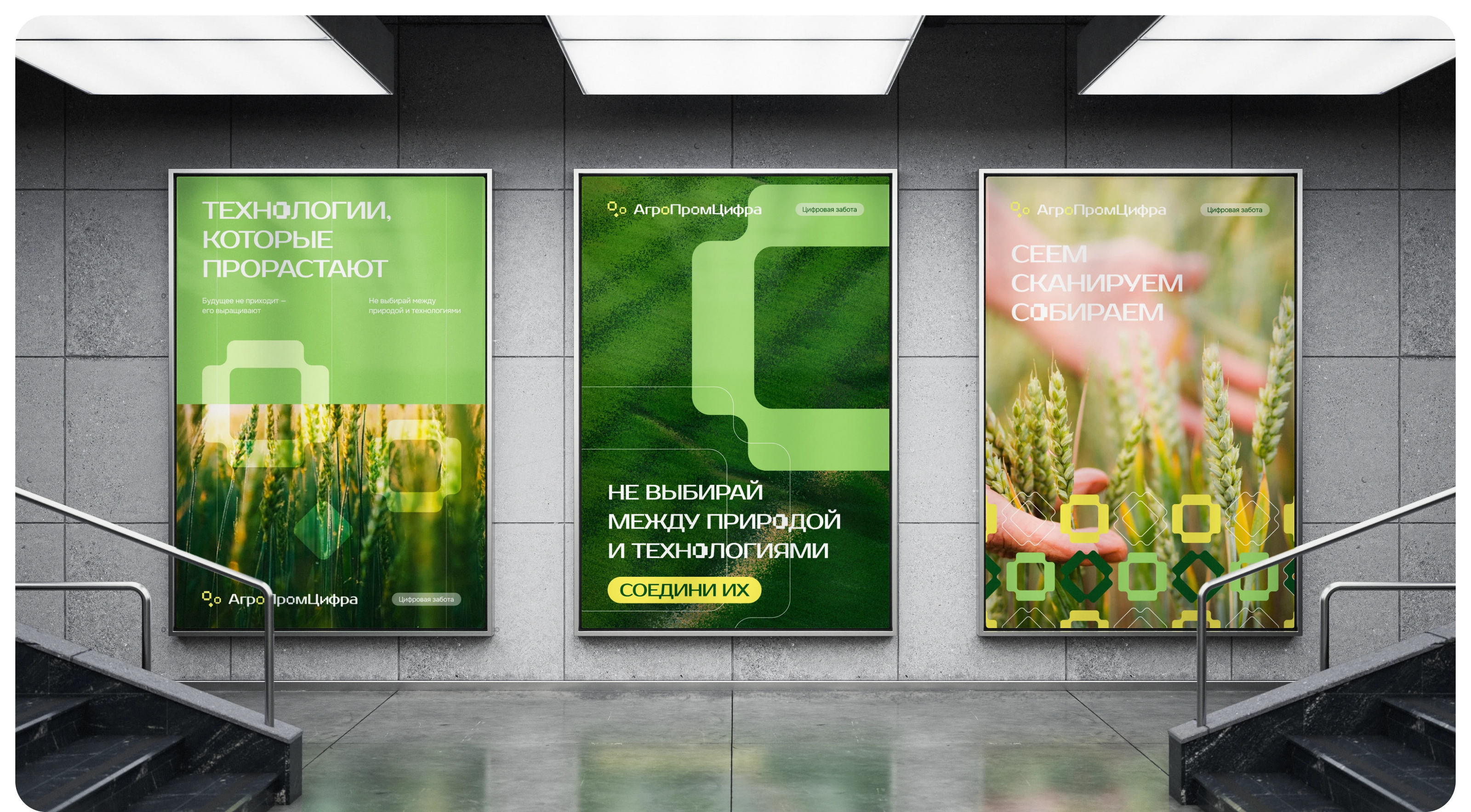 Агропромцифра | Visual Identity — Изображение №5 — Брендинг, Маркетинг на Dprofile
