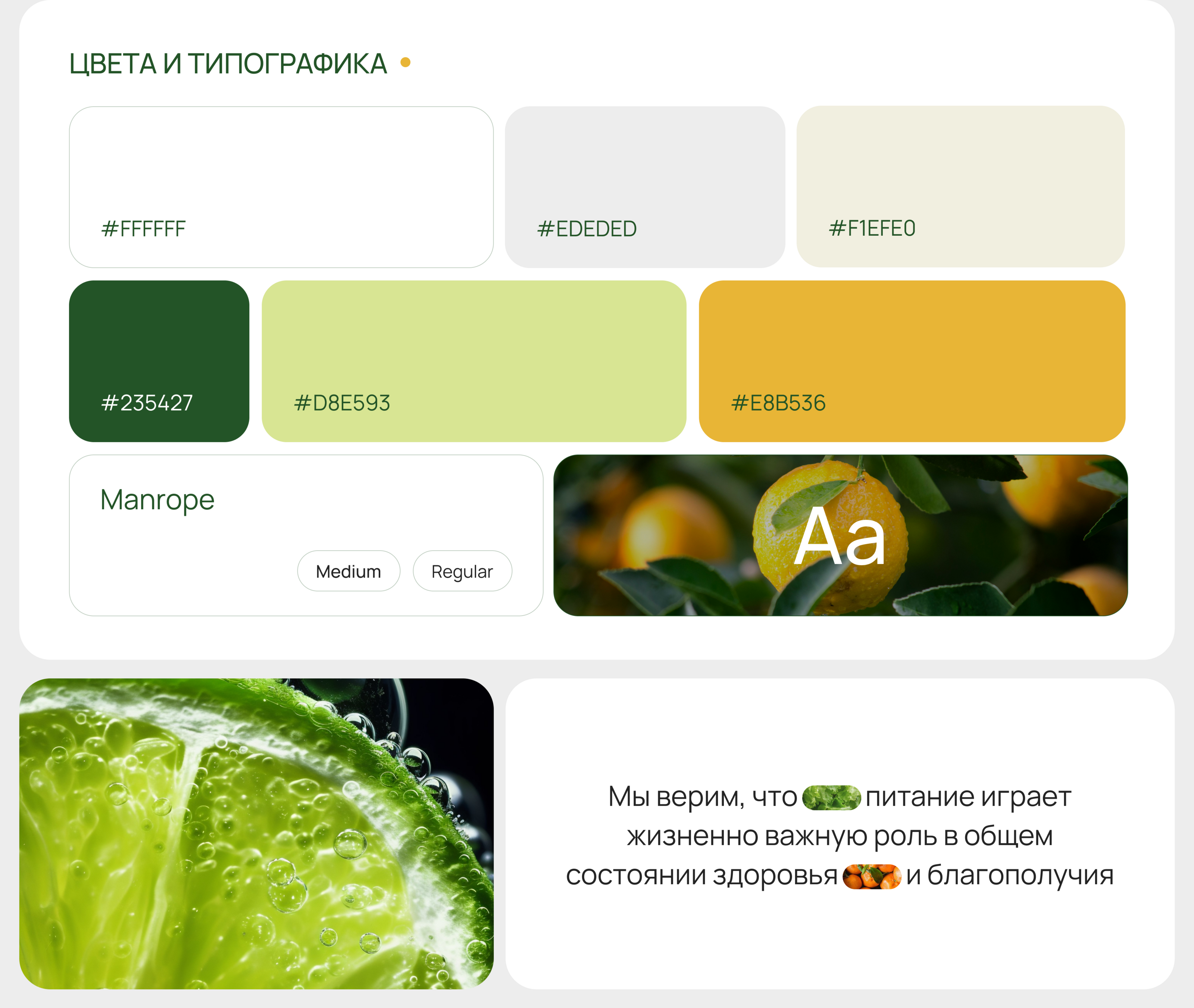 Greenery | клиника нутрициологии — Изображение №6 — Интерфейсы, Брендинг на Dprofile