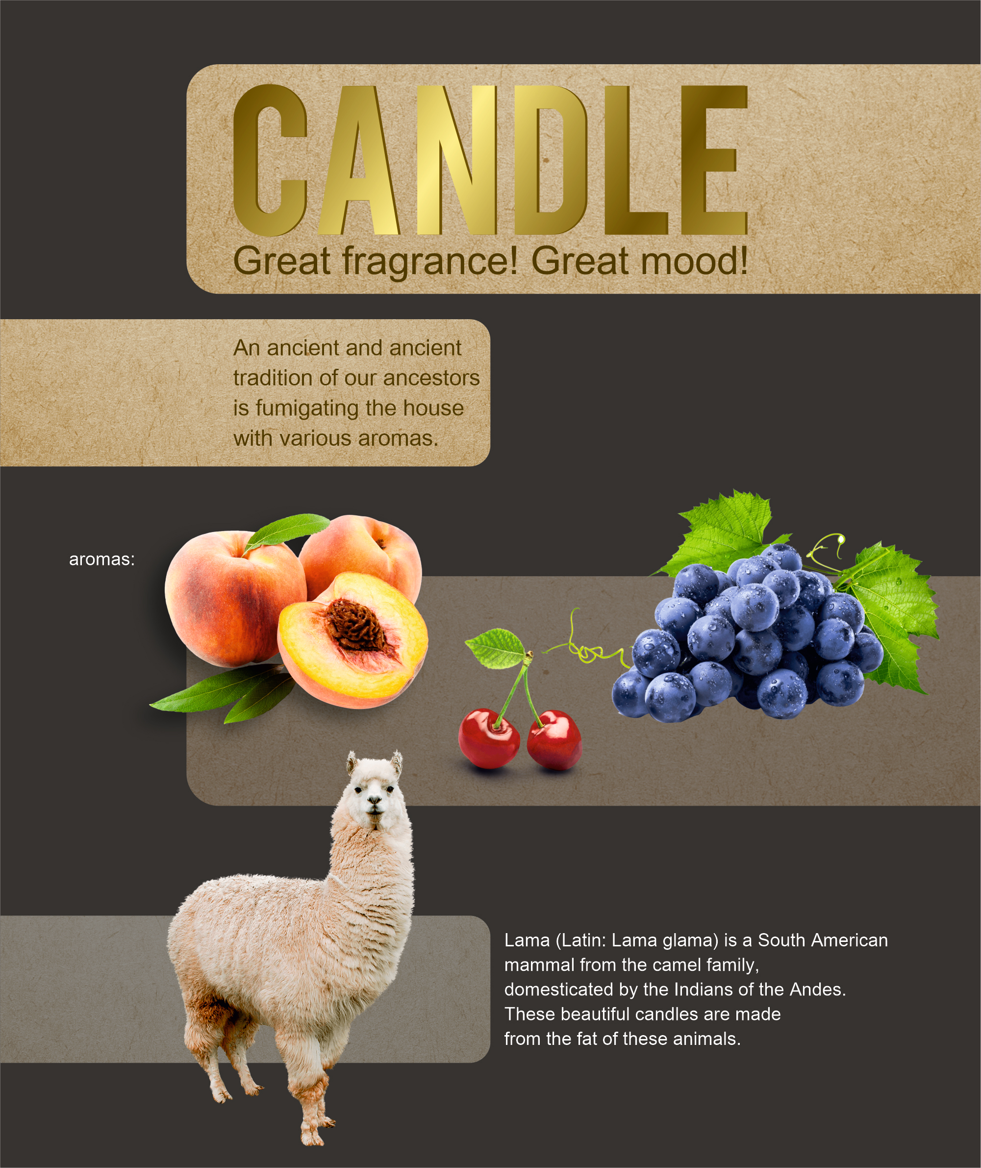 Characters for the Candle Series — Изображение №1 — Брендинг, Иллюстрация на Dprofile