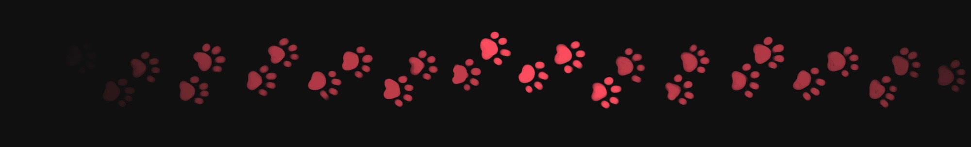 Animal feed — Изображение №5 — Брендинг, Иллюстрация на Dprofile