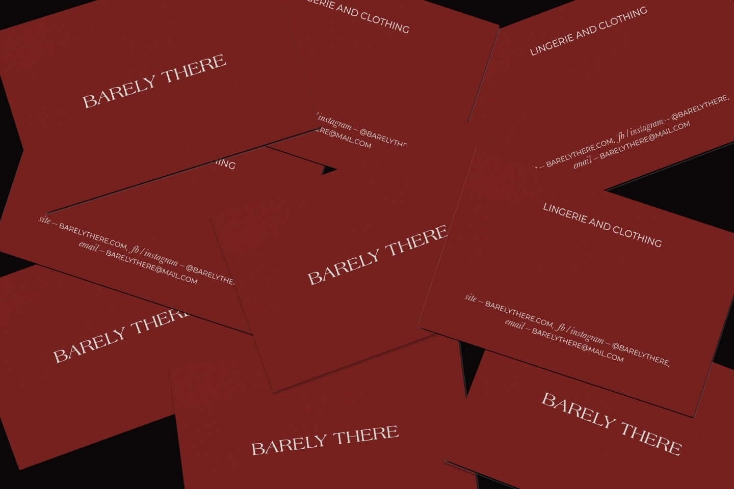 BARELY THERE / LINGERIE BRAND — Изображение №6 — Брендинг на Dprofile