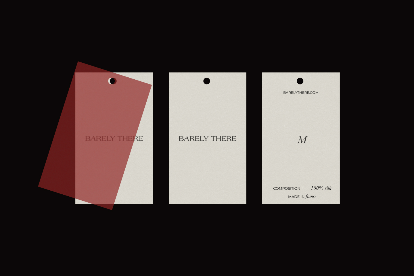 BARELY THERE / LINGERIE BRAND — Изображение №11 — Брендинг на Dprofile