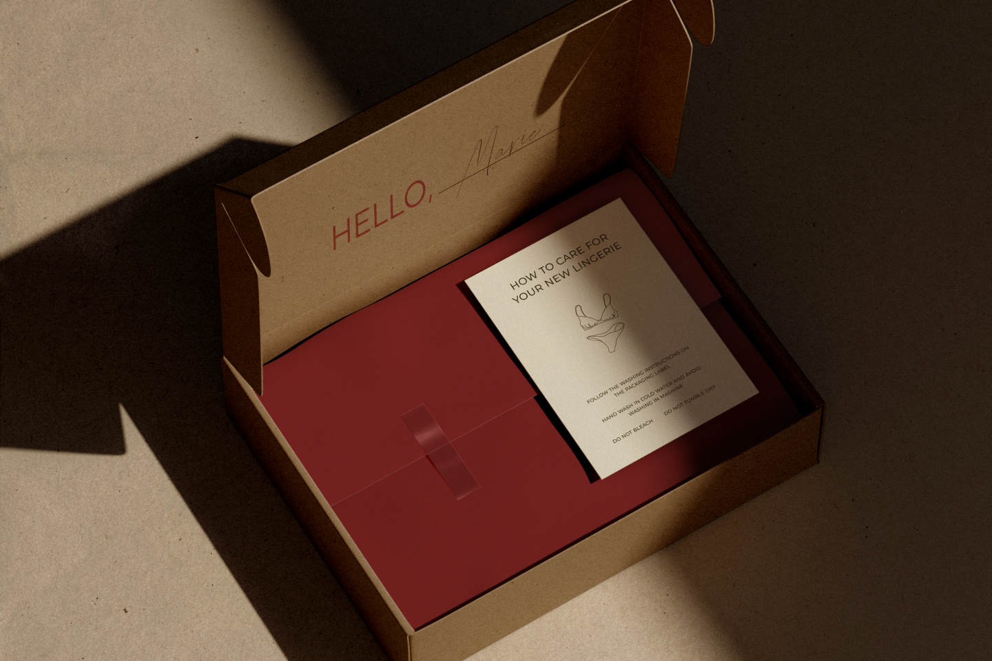 BARELY THERE / LINGERIE BRAND — Изображение №10 — Брендинг на Dprofile