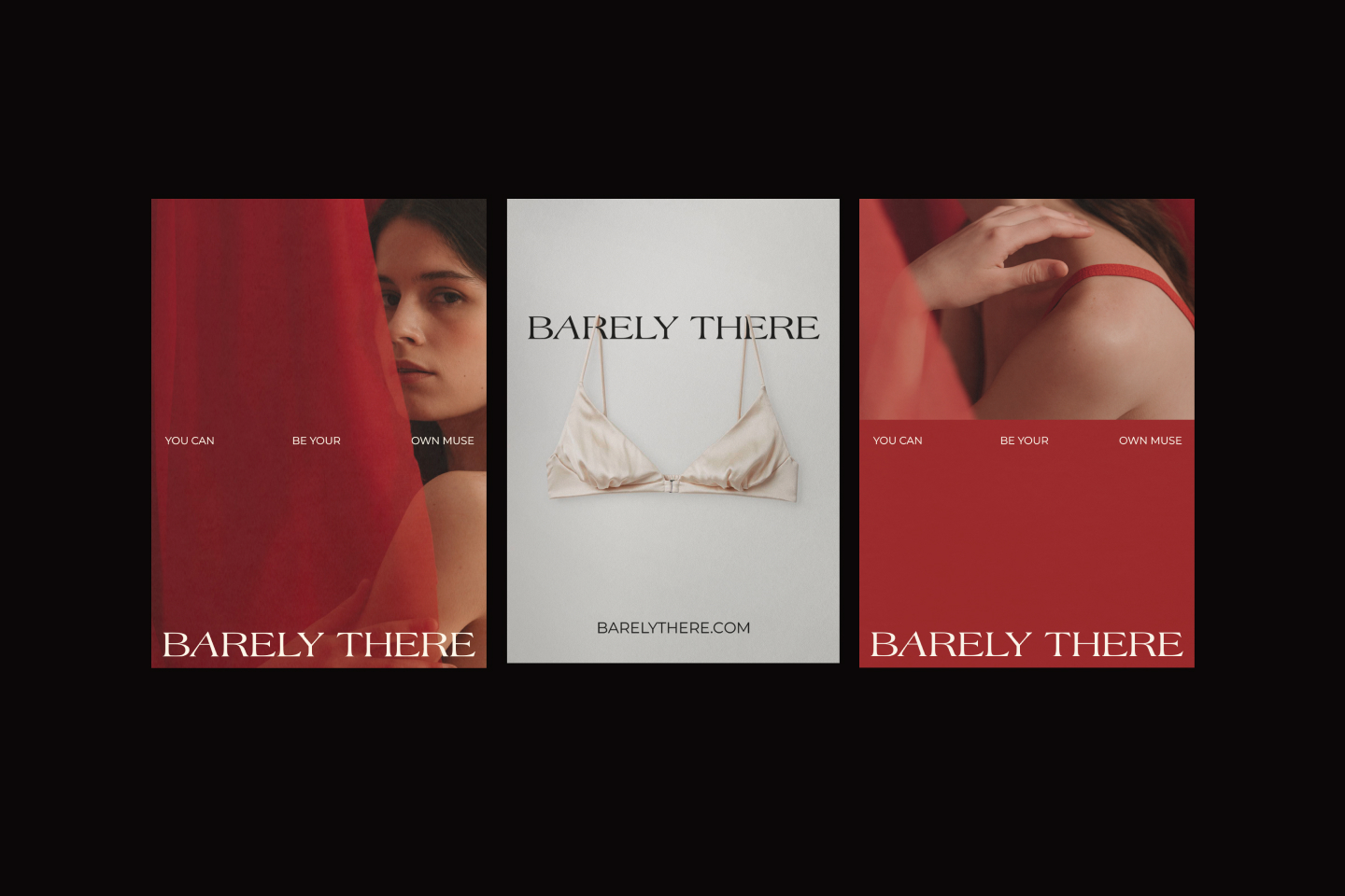 BARELY THERE / LINGERIE BRAND — Изображение №3 — Брендинг на Dprofile