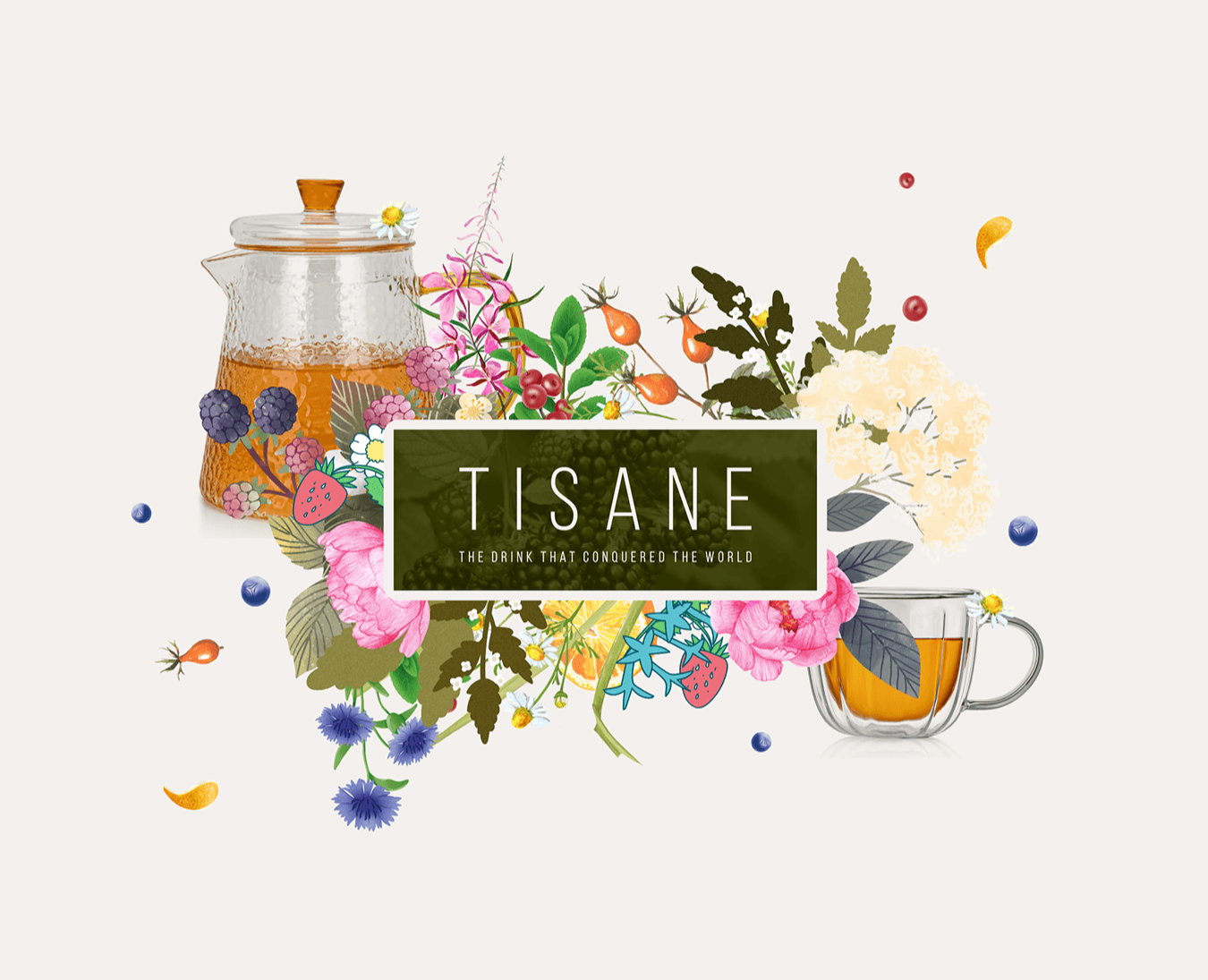 Tisane packaging design concepts на Dprofile